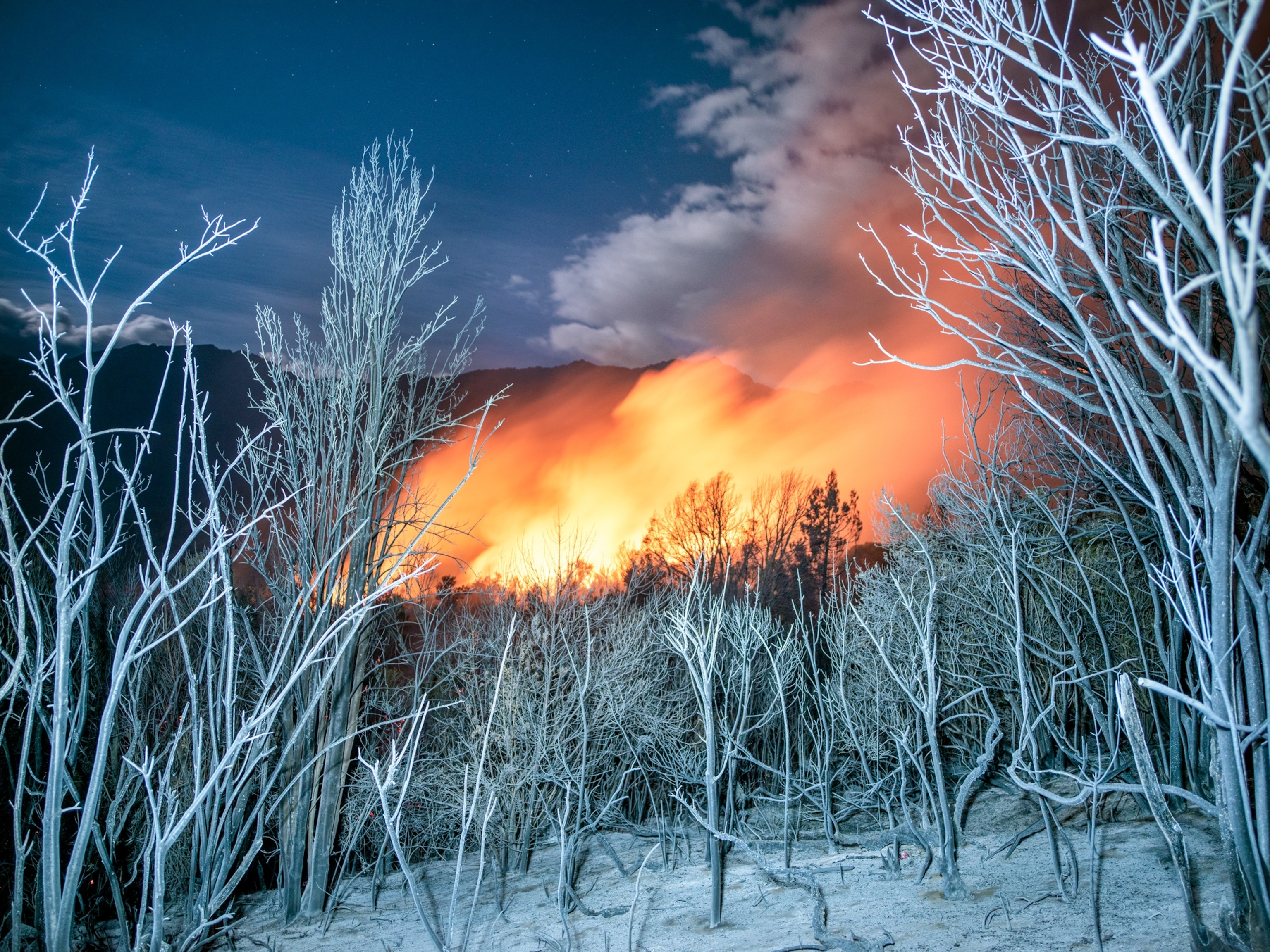 burned native vegetation stands hauntingly in the foreground as a red glow of a raging fire consumes the background