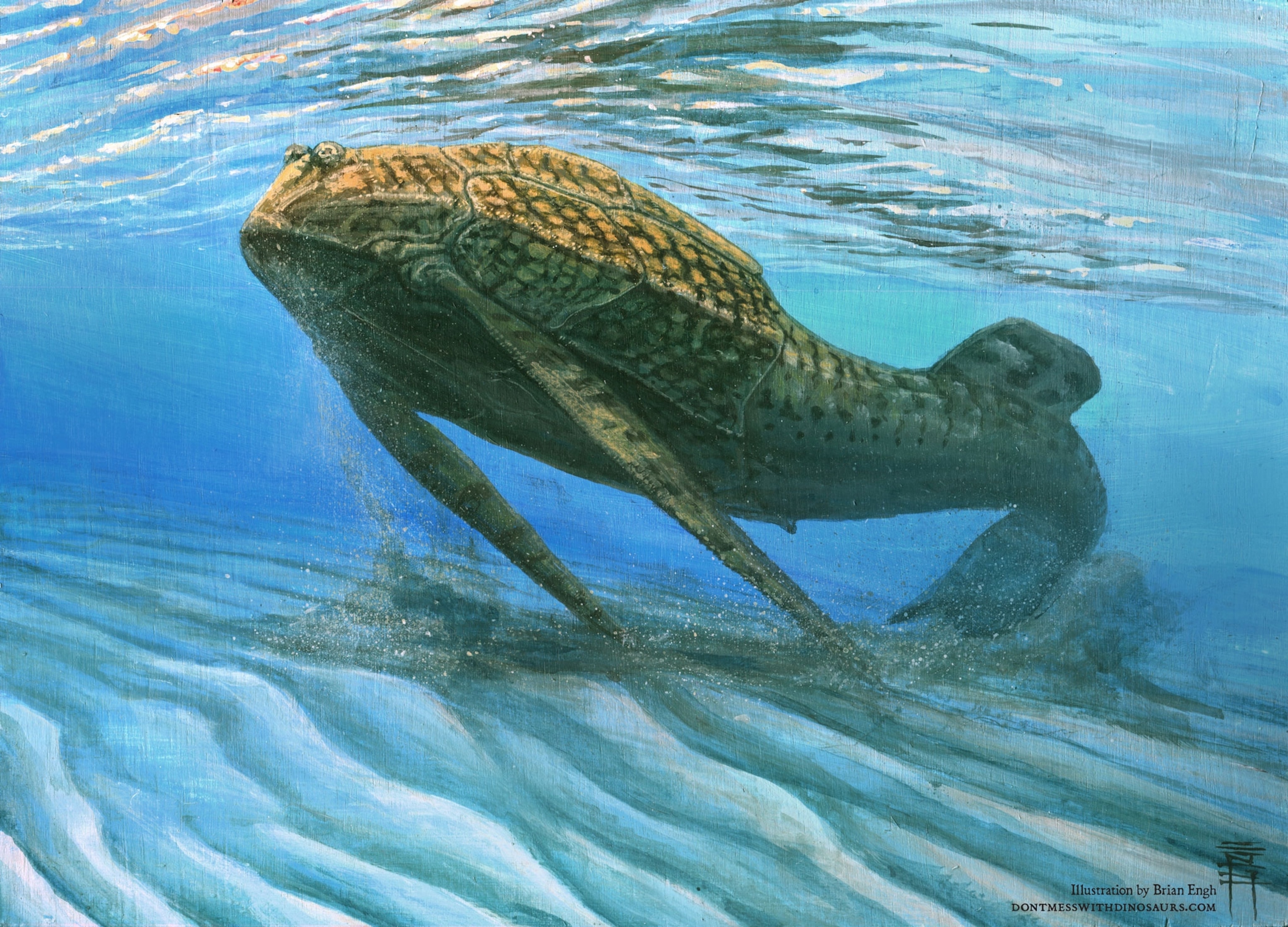 Bothriolepis