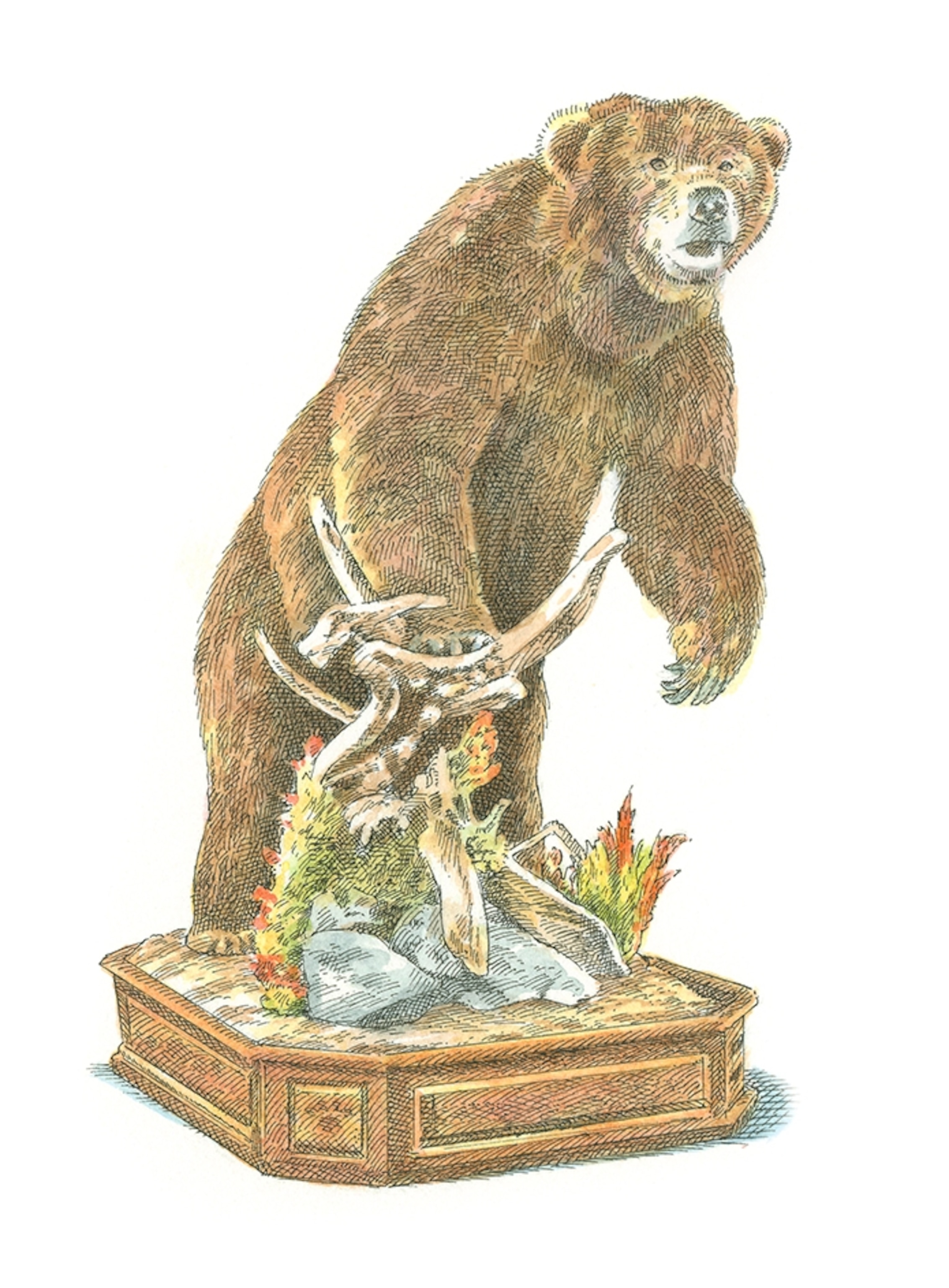 Art of completed bear taxidermy