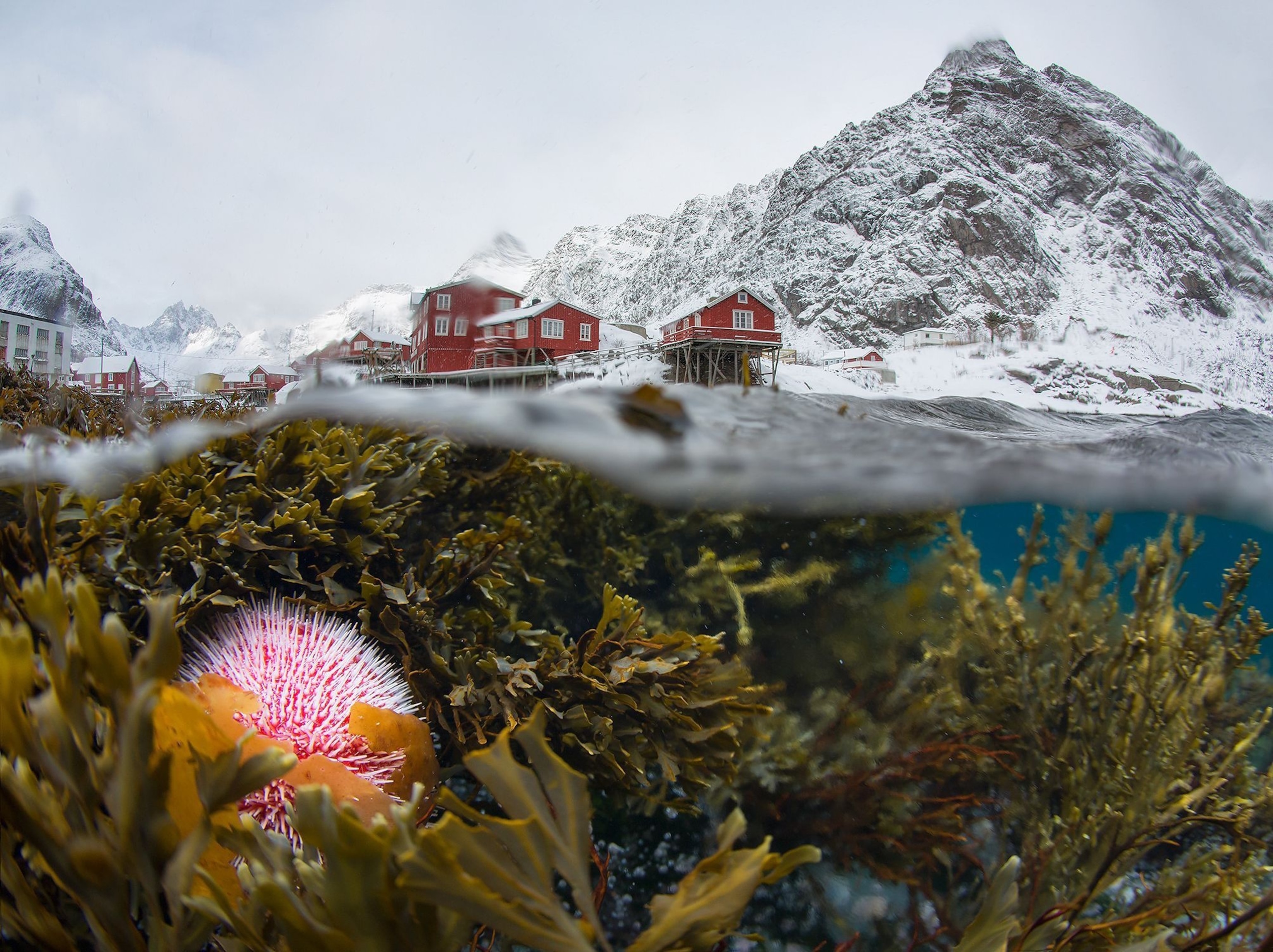 village in Lofoten, Norway