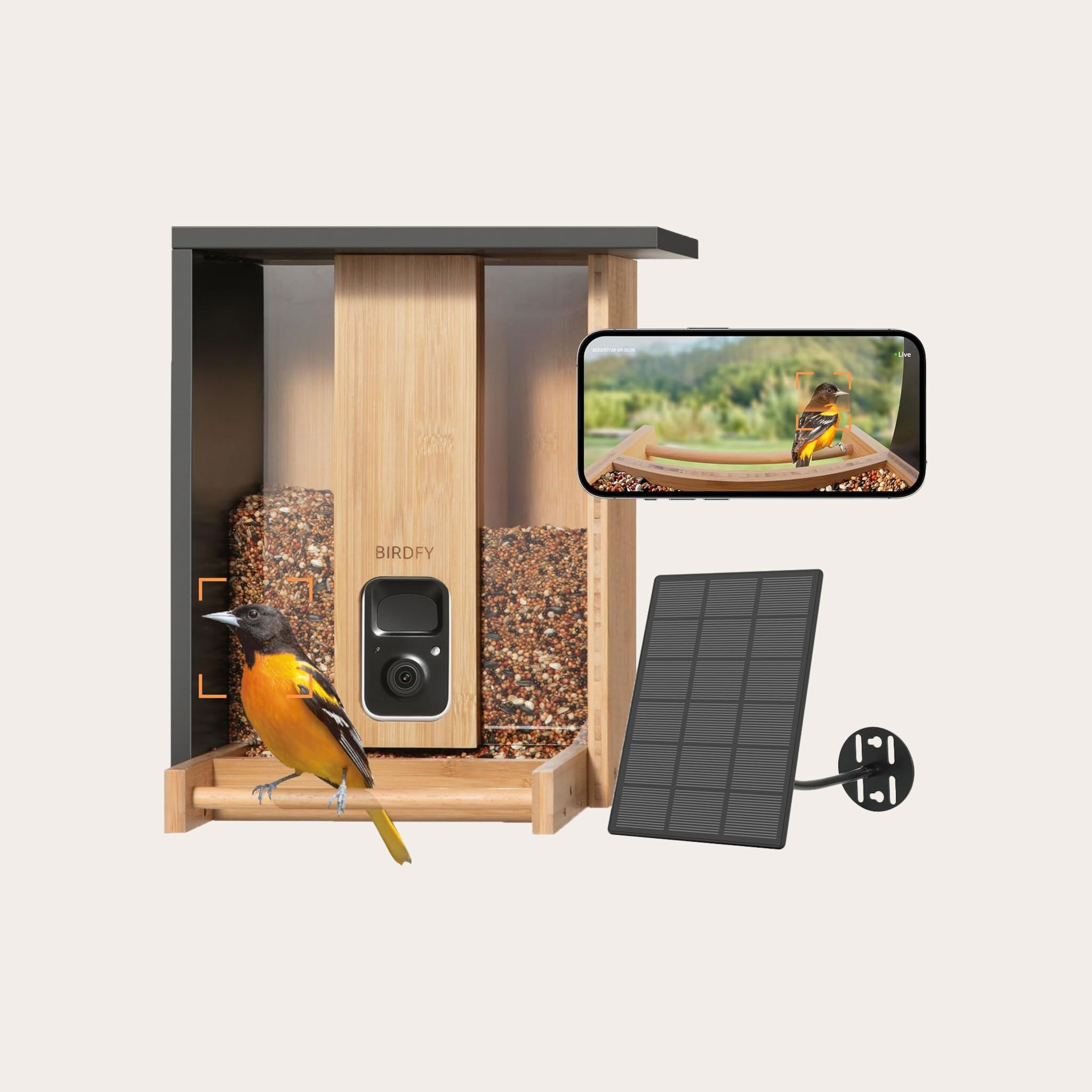 Orange bird sitting on a bamboo bird feeder with a built in camera. A solar panel and a phone showing the cameras view sit besides the bird feeder, placed on a tan background.