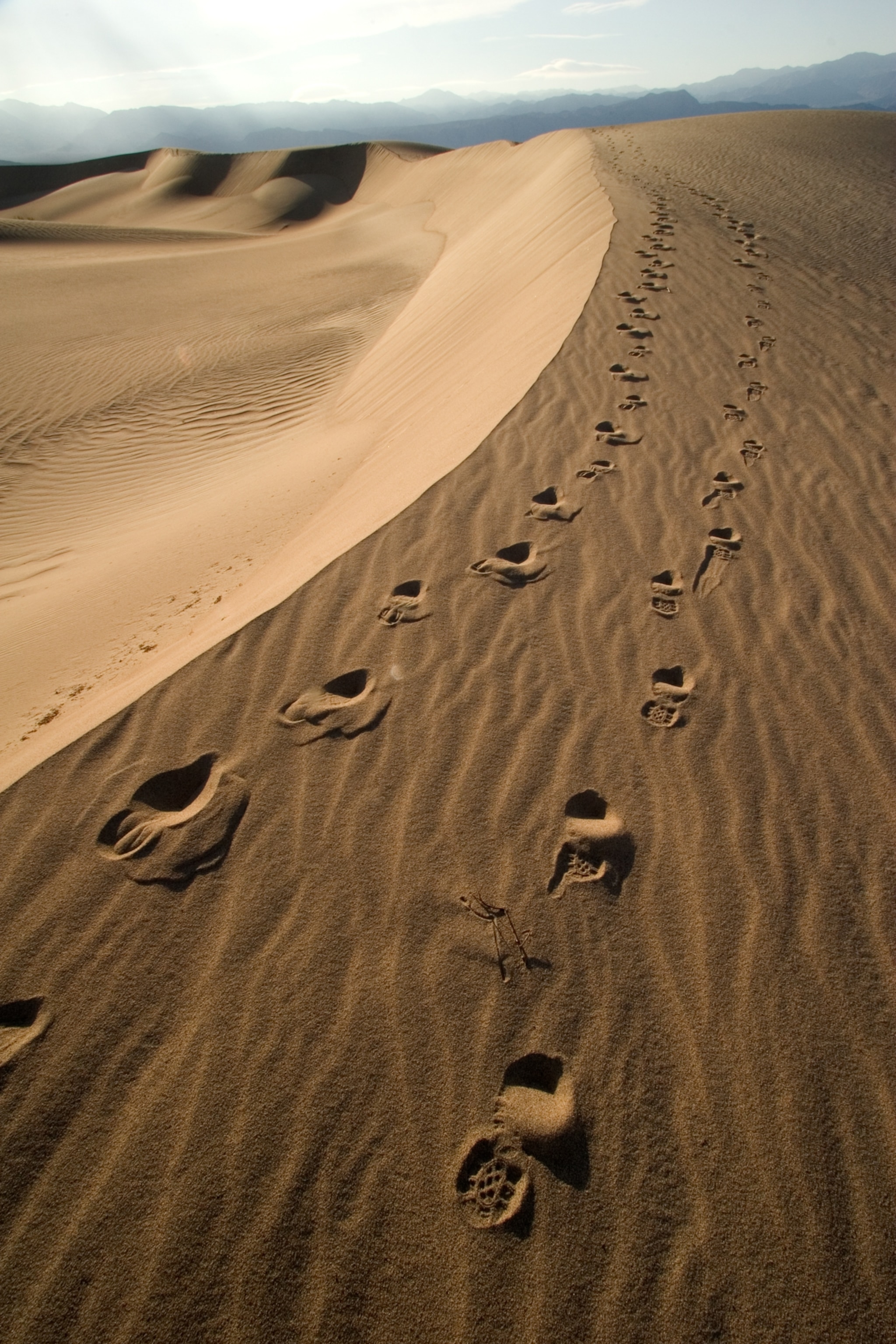 Footprints across the edge of a sand dune