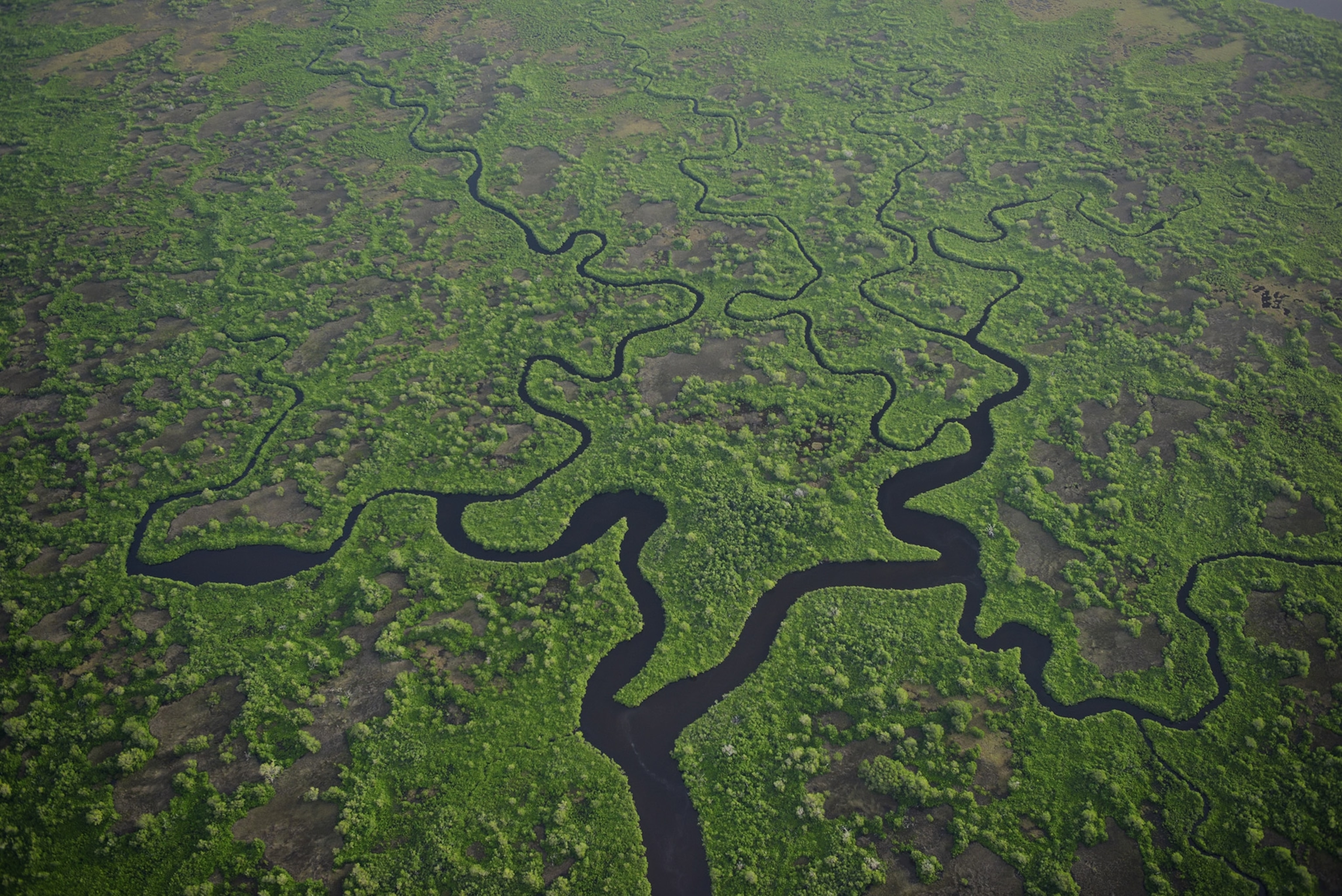 an aerial view of Everglades National Park in Florida