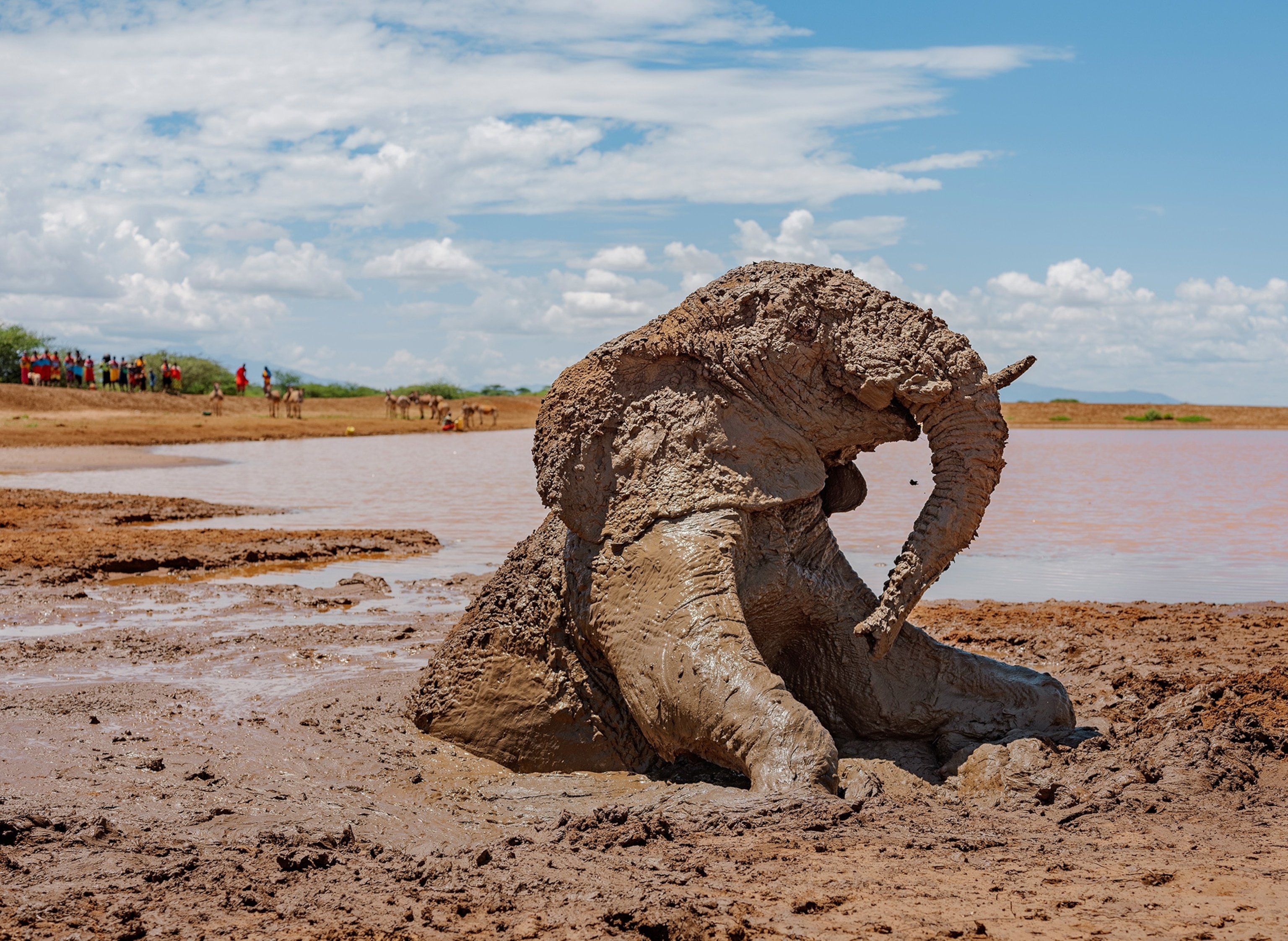 An Elephant covered completely with thick mud.