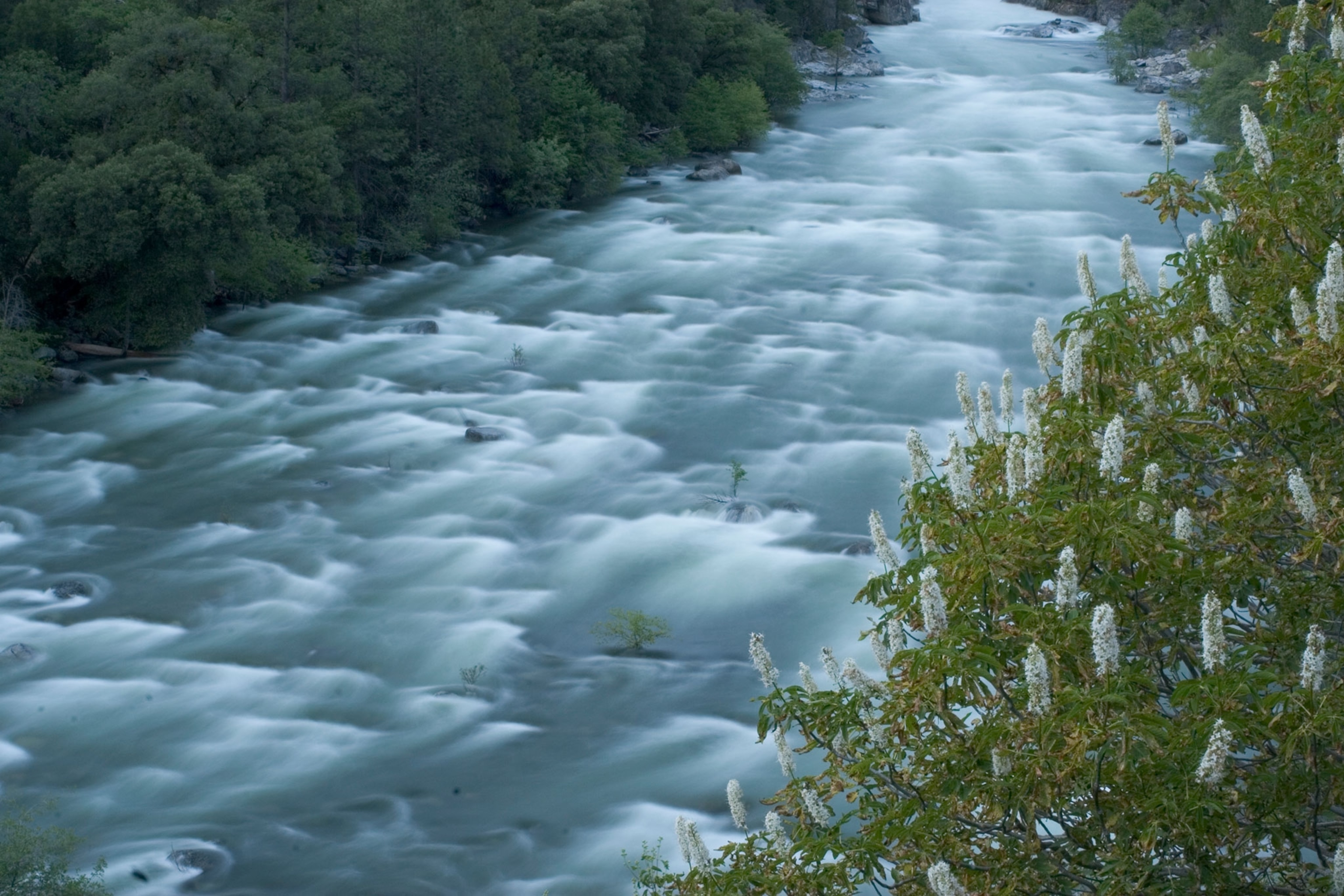 Tuolumne river
