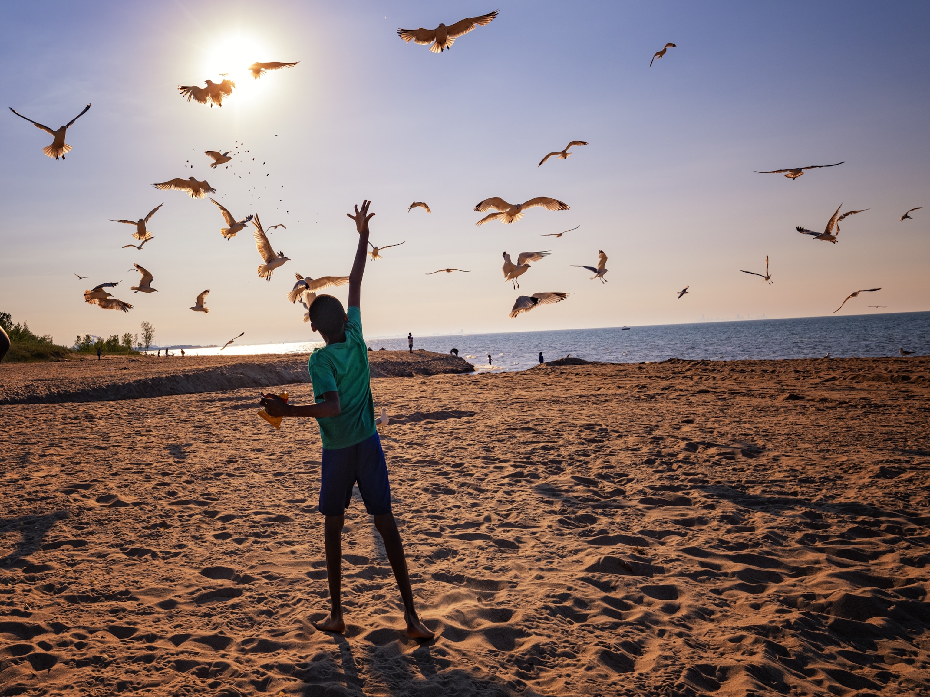 a boy feeding seagulls on a beach.