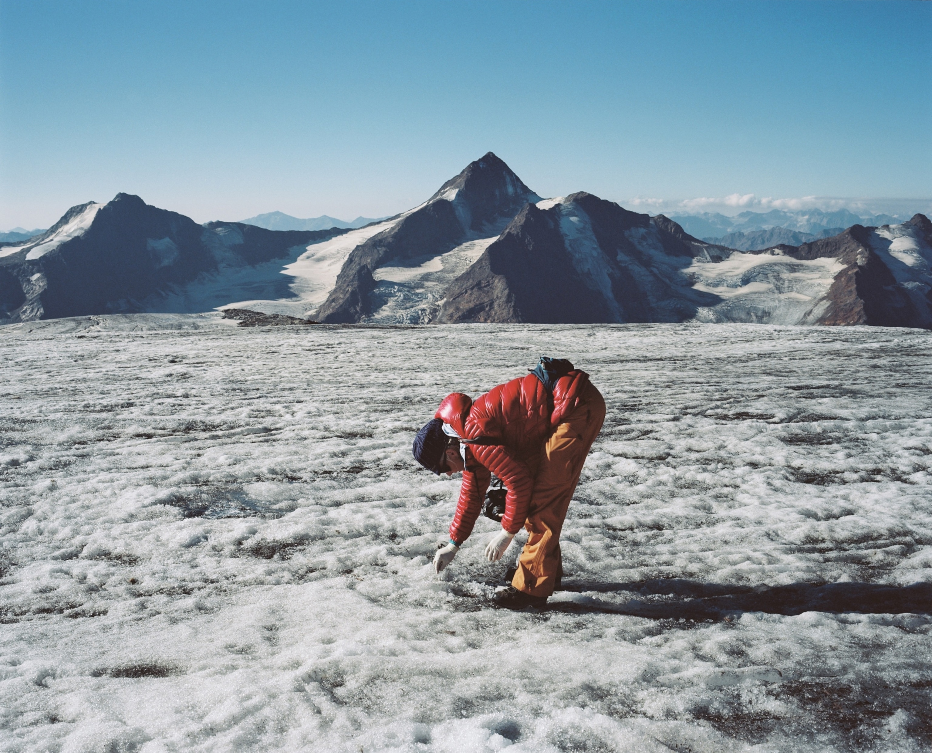 a woman in a red coat bends over to collect small pieces of hair from the ice with tweezers
