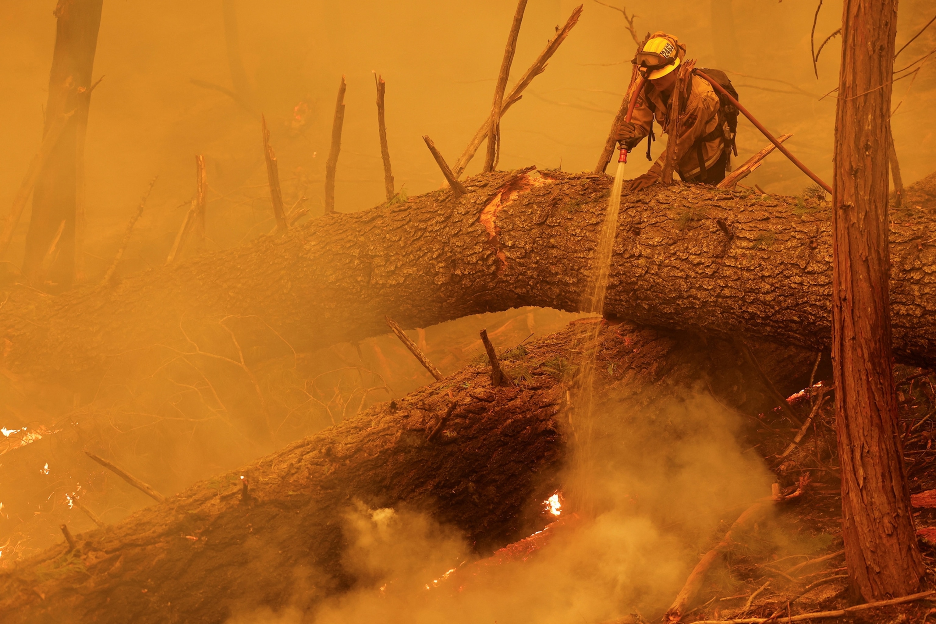 A firefighter knocks down a hot spot at the Park Fire, along Highway 36 near Mineral, California, U.S.
