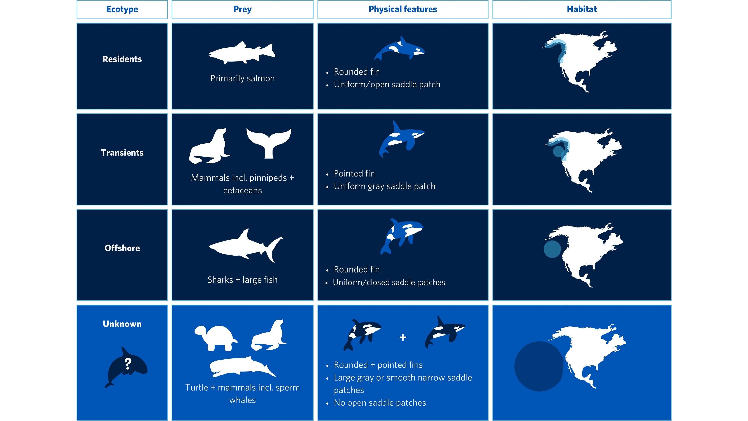 An graphic in shades of blue from dark to light, the box shows the characteristics and common locations for different types of animals.