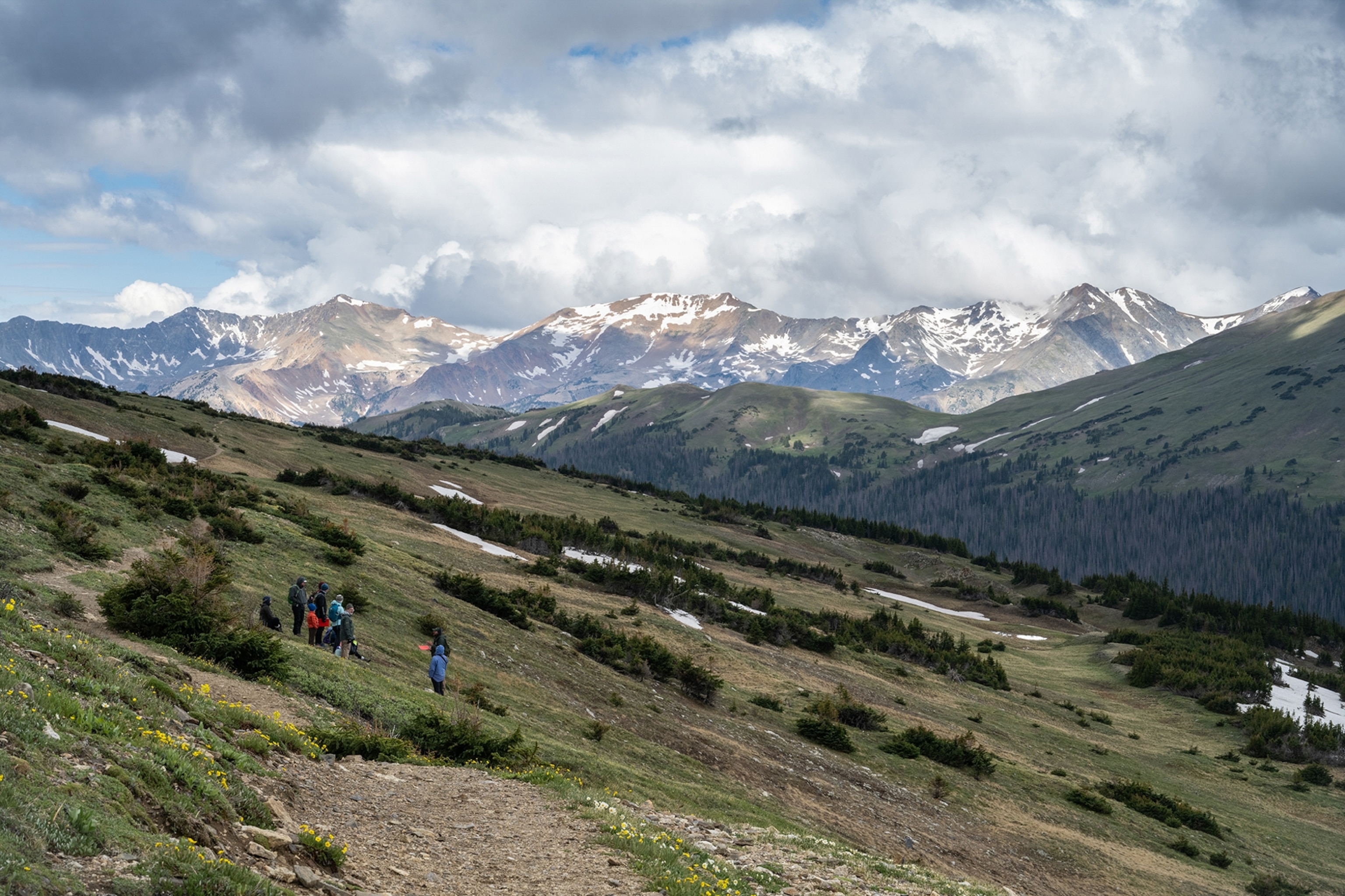 Picture of a group of conservationists on a grassy mountainside