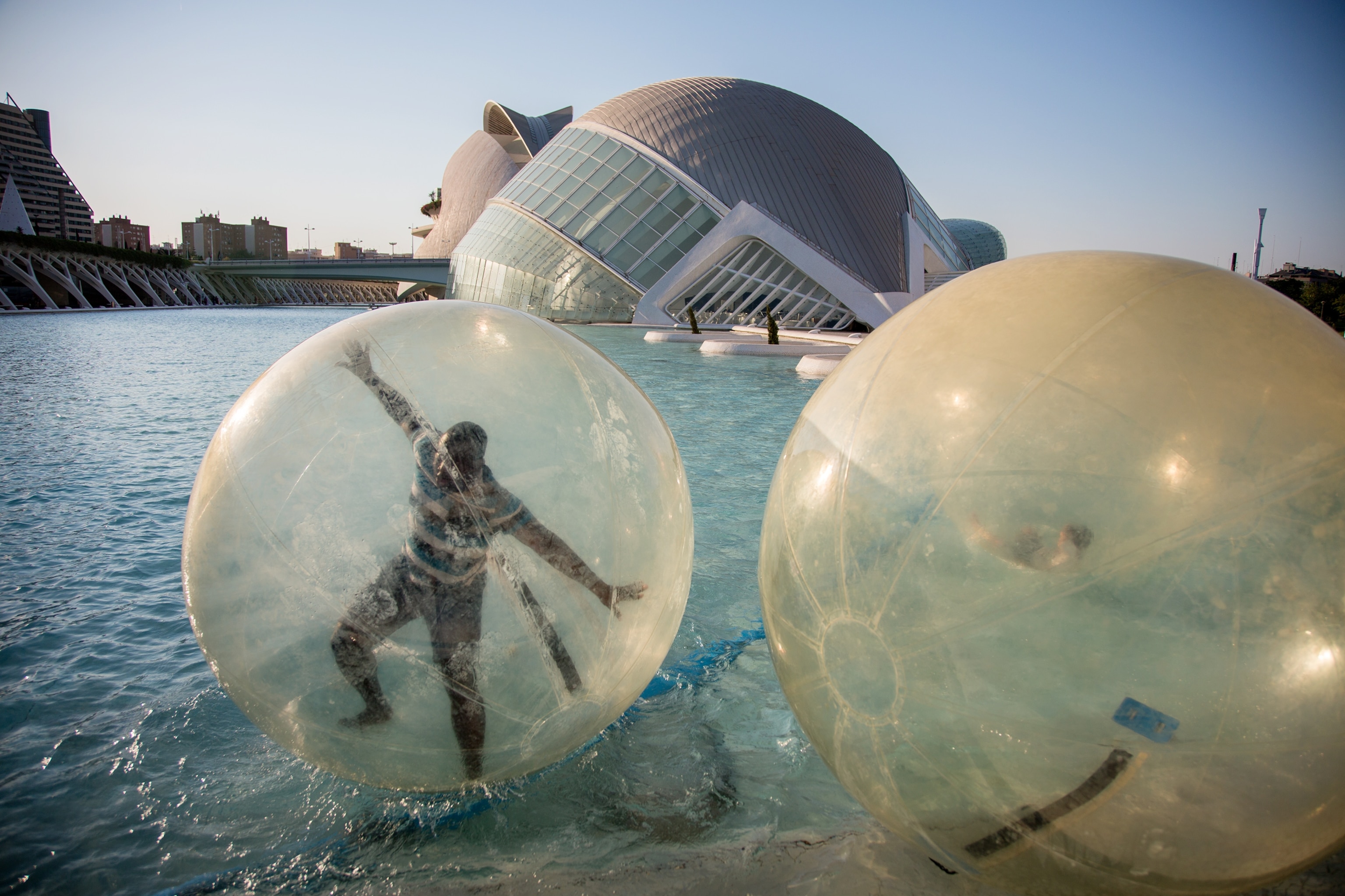 the Arts & Sciences Museum in Valencia, Spain