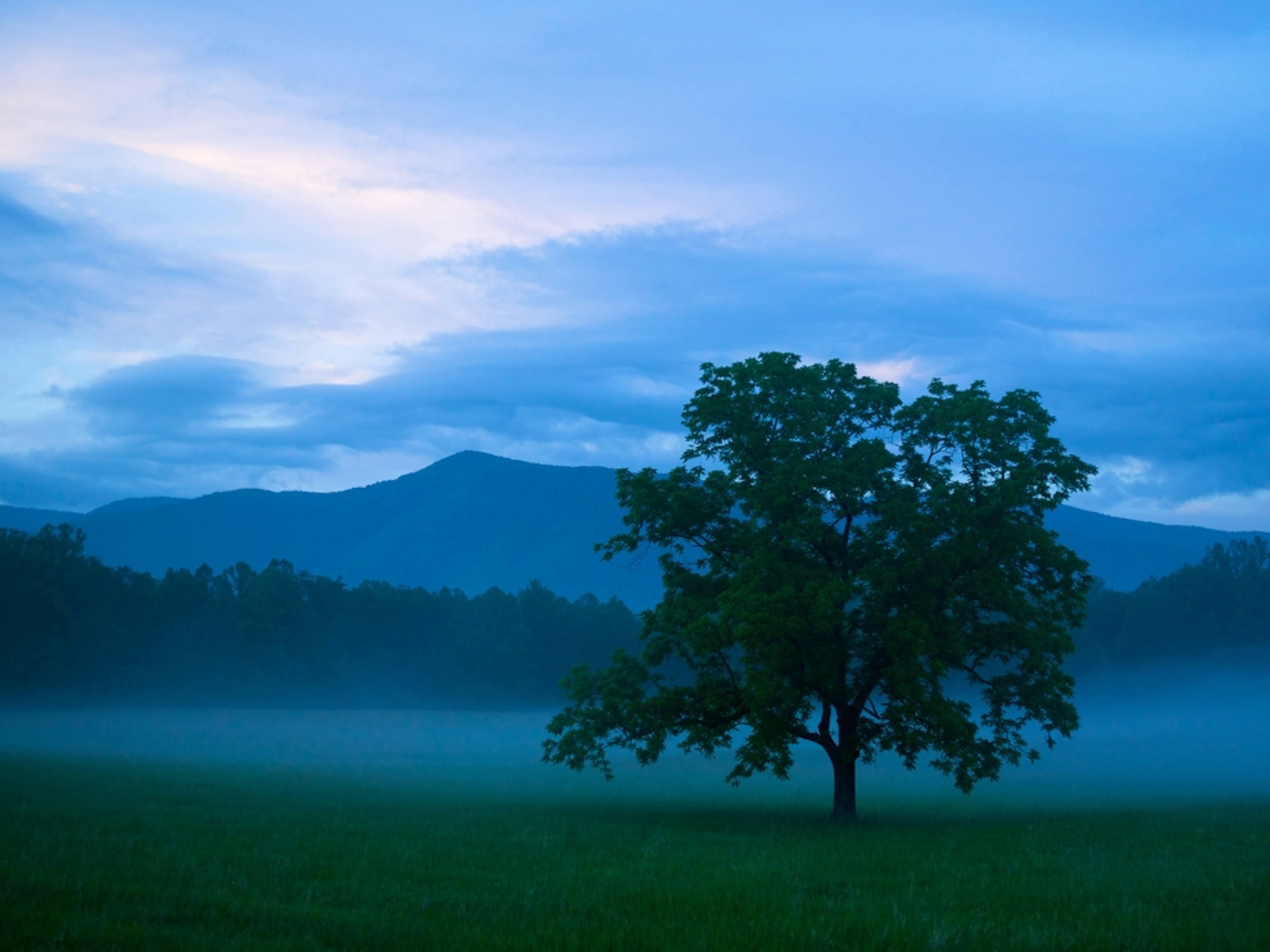 fog in Cades Cove, Great Smoky Mountains National Park