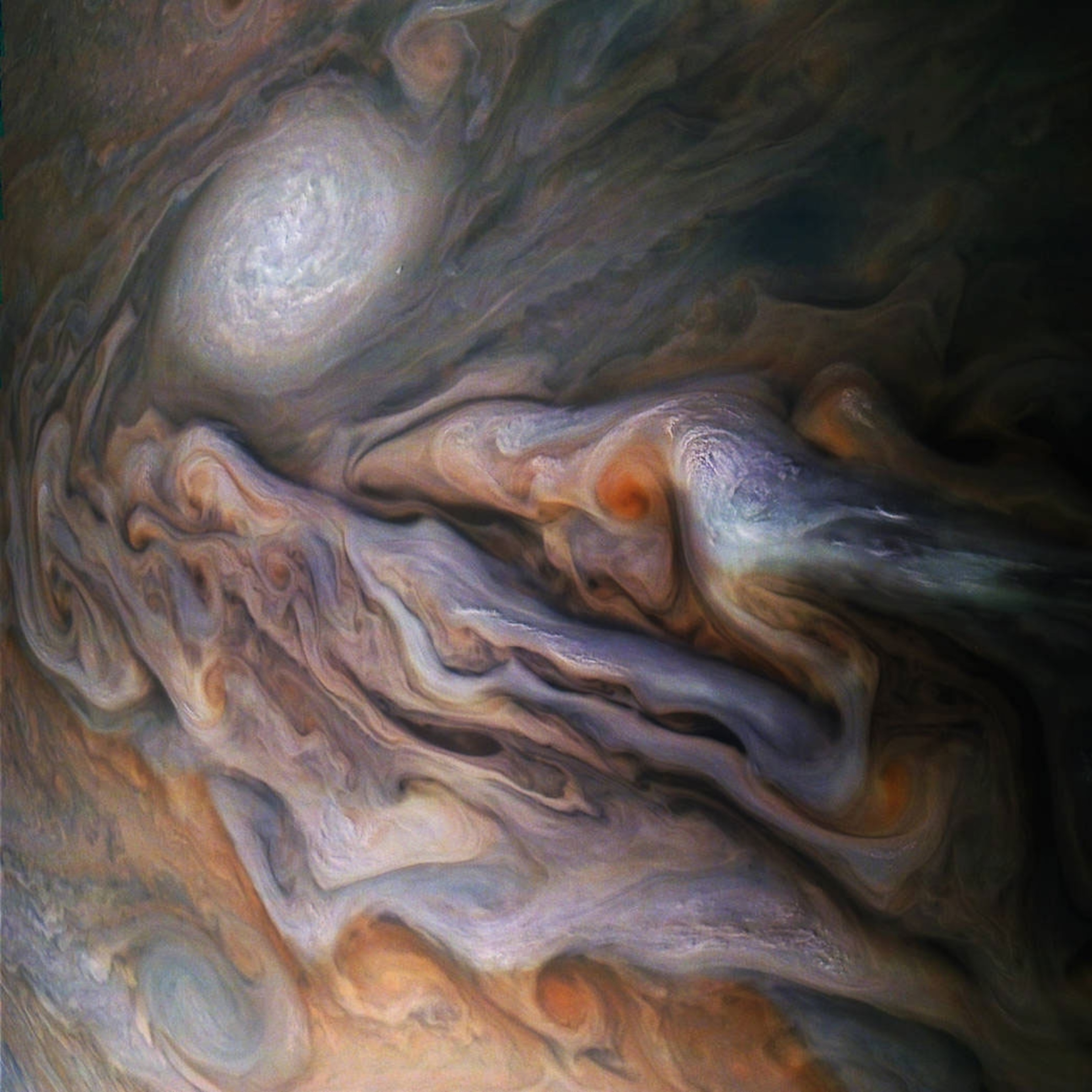 Jupiter's dynamic North Temperate Belt.