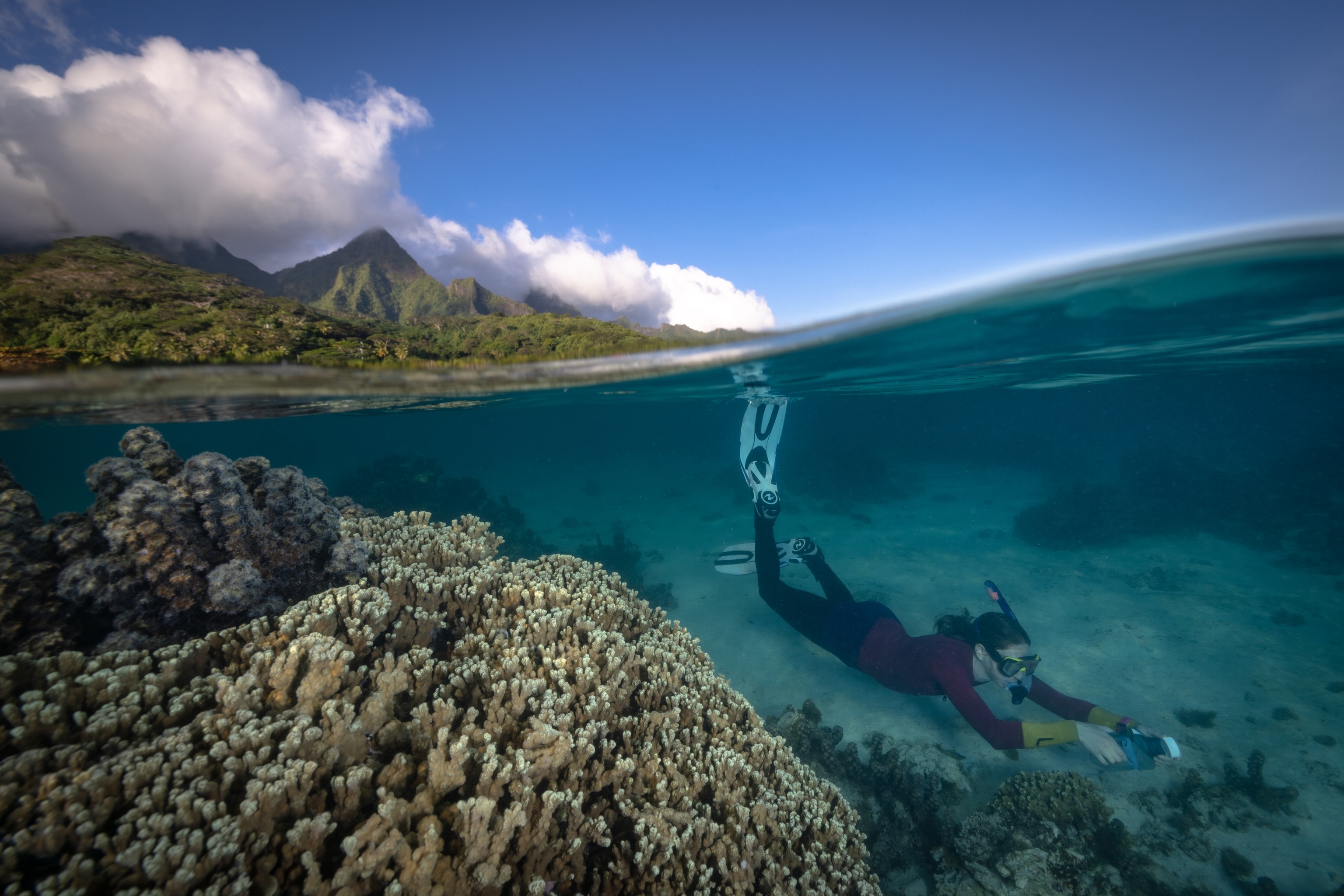 Collecting water samples at a study site on the island of Mo'orea, French Polynesia. Rainfall collects into groundwater, then seeps out onto the island's fringing coral reefs.