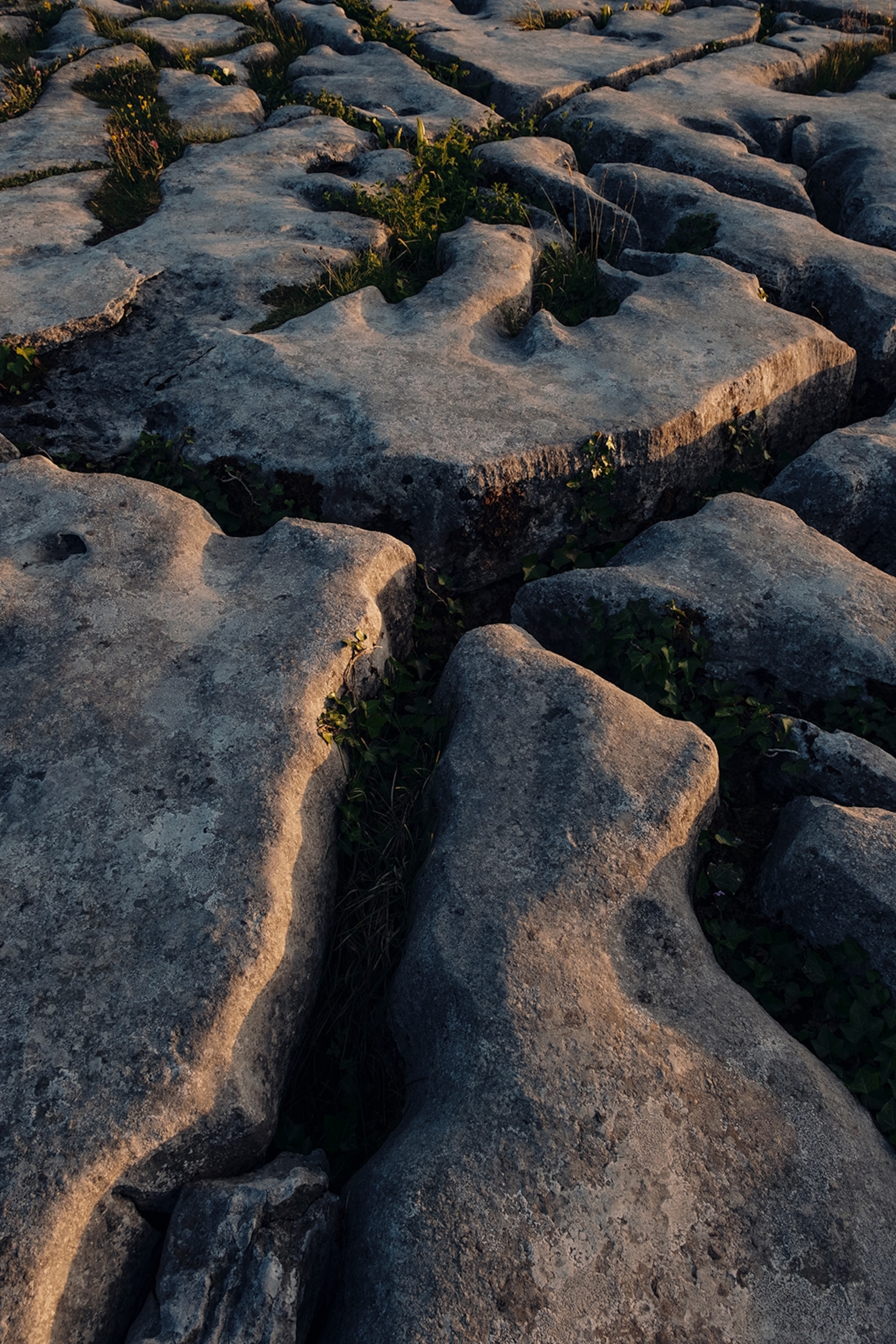 Fissures in limestone rock