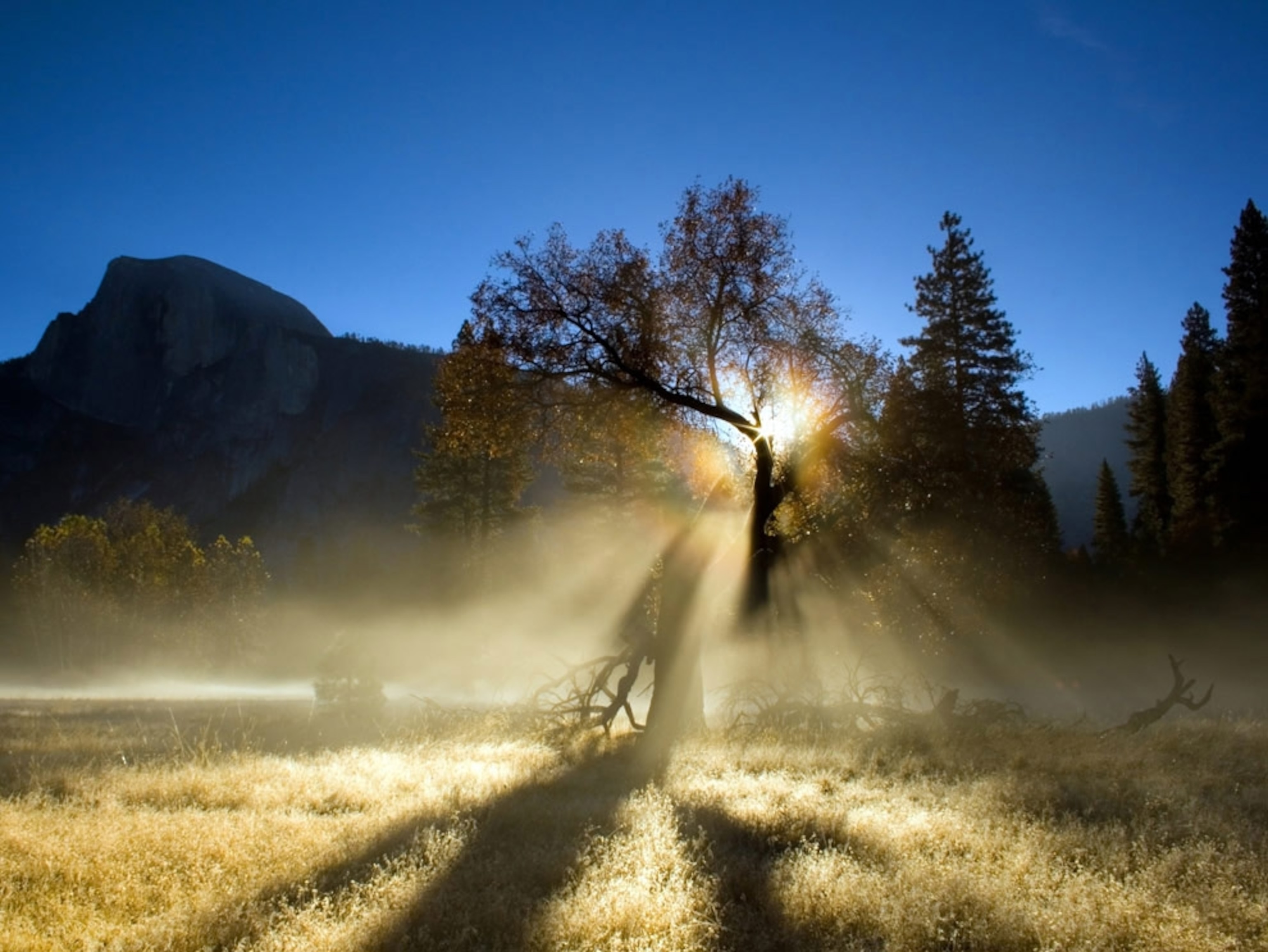 Sunrise causes a rainbow between trees