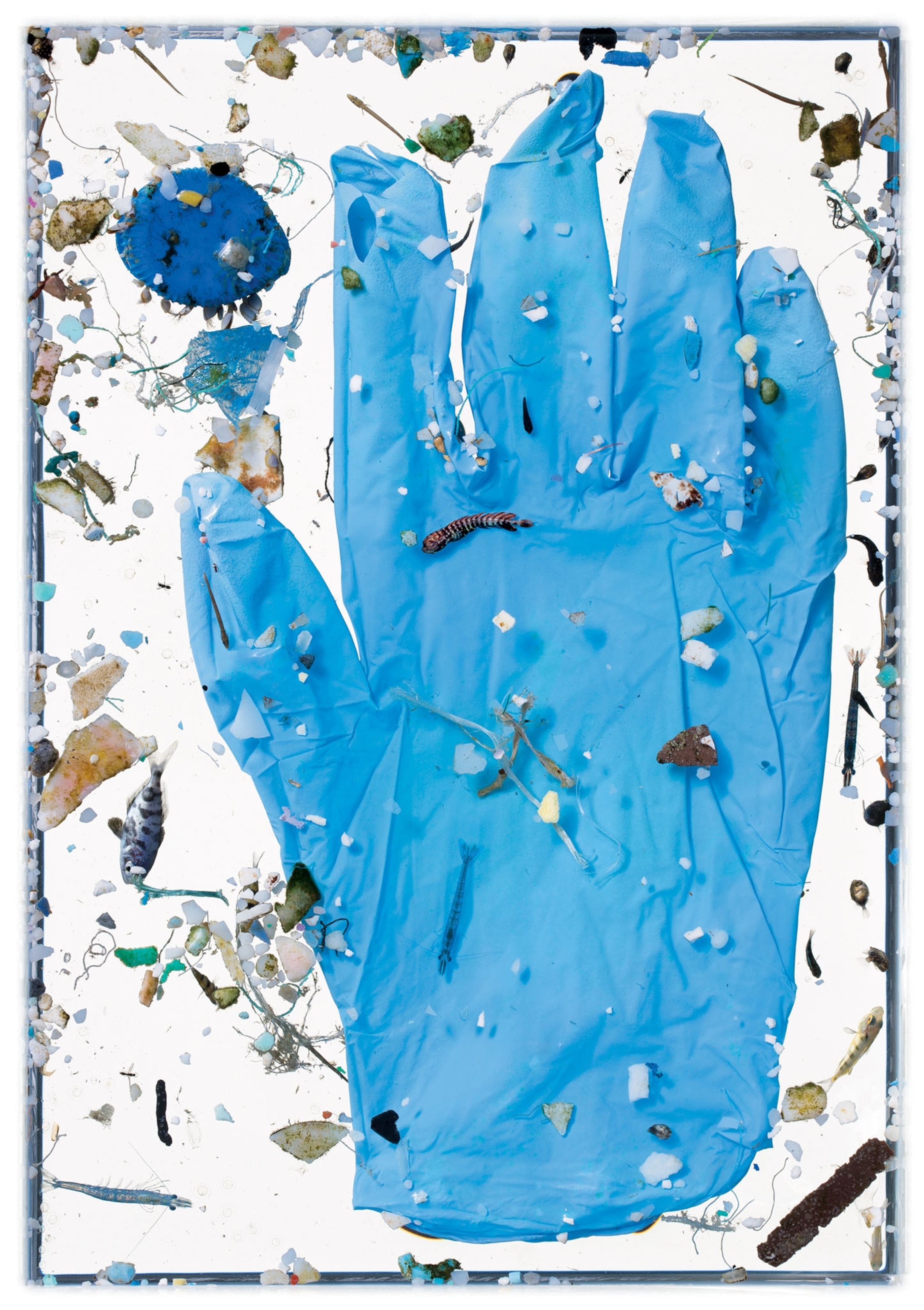 marine plastic debris on a white background