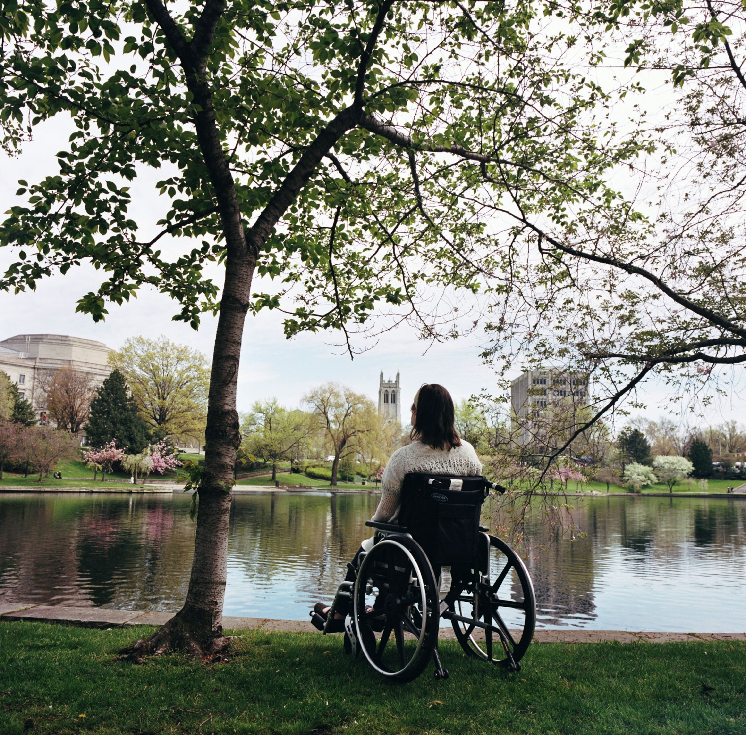 a woman sitting under a tree awaiting a face transplant