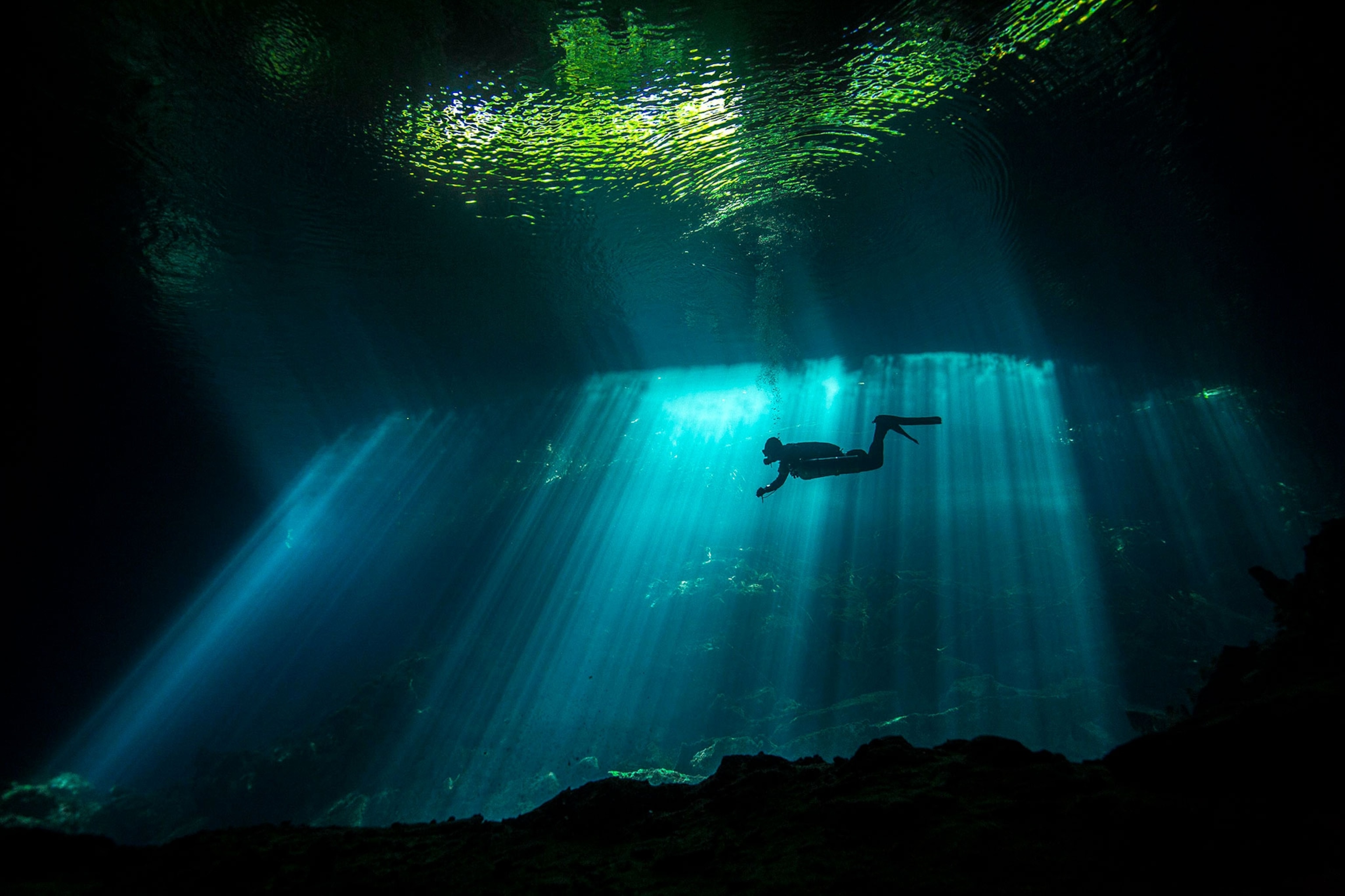 a diver swimming in a cenote