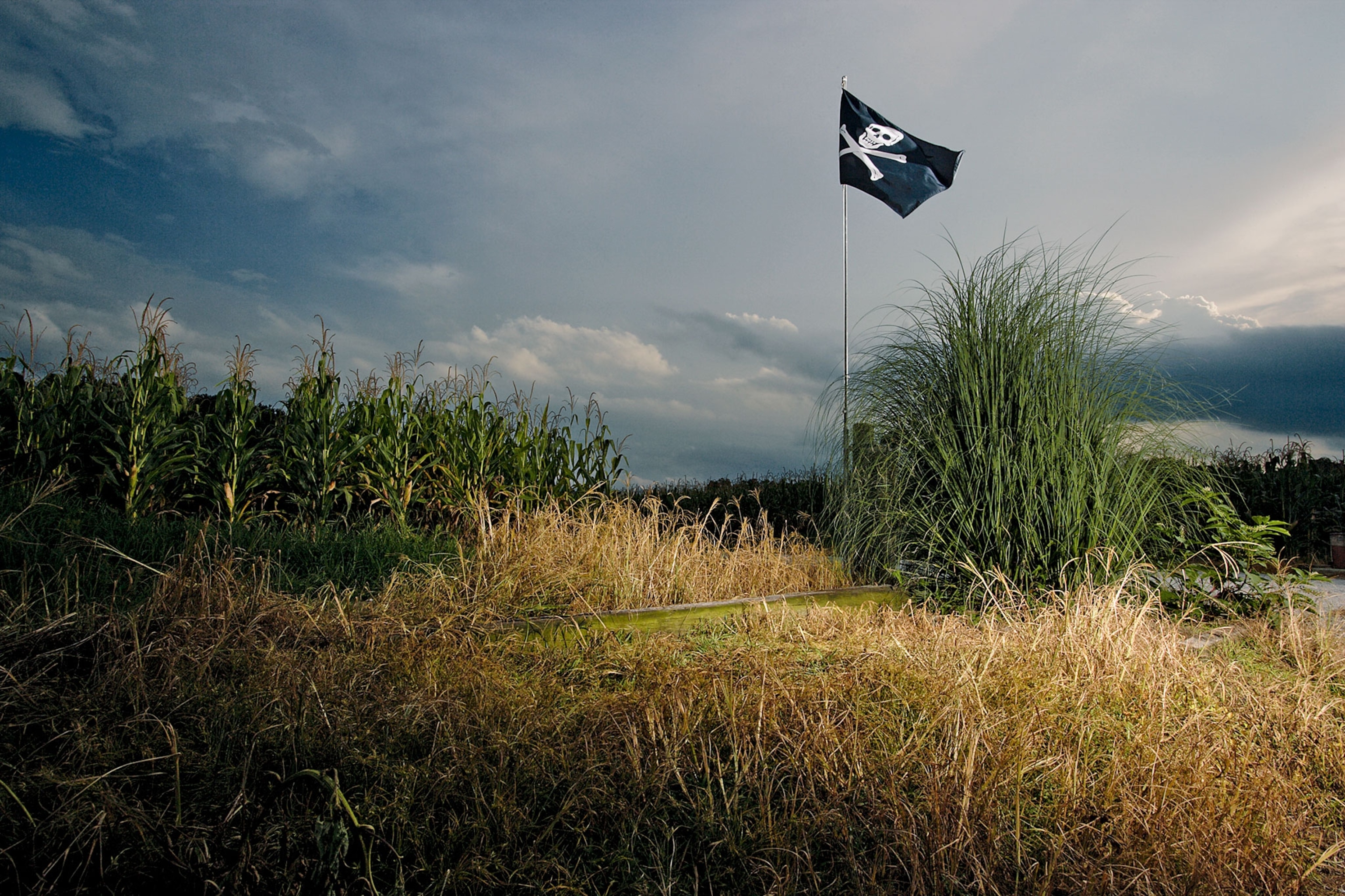 a pirate flag