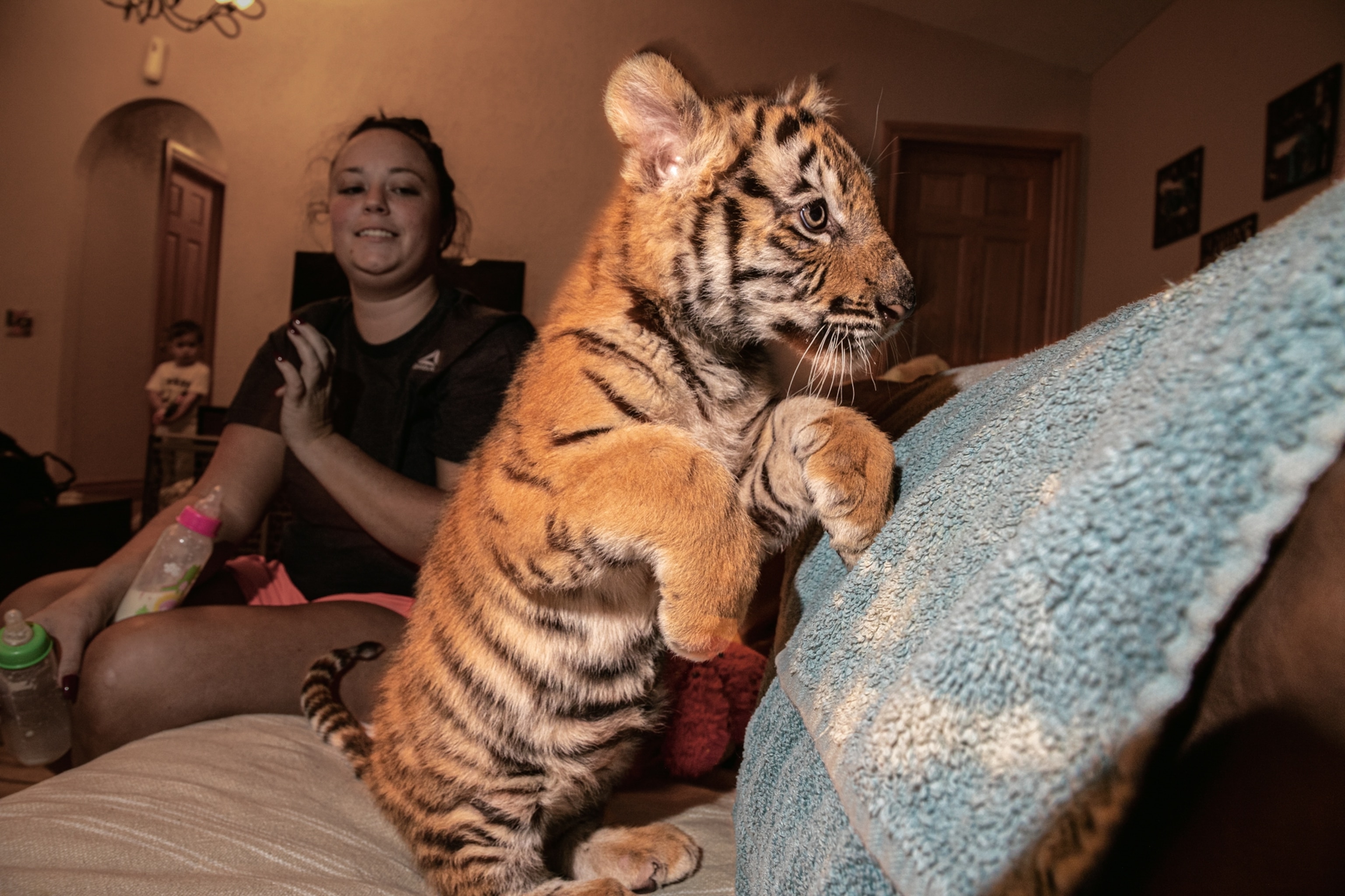 a tiger cub on sitting the couch of in a living room, while a woman holds his bottle