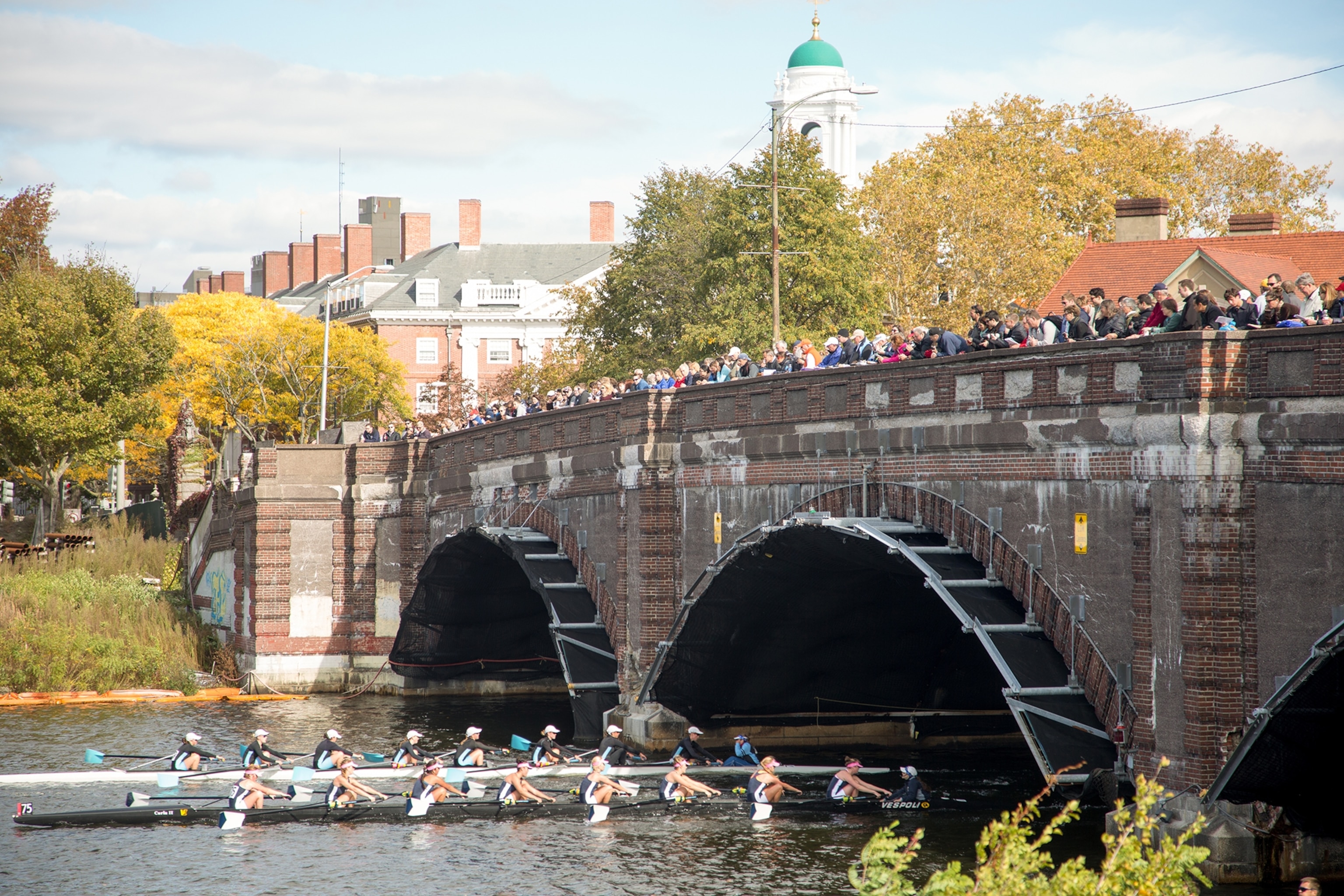The Head of the Charles Regatta