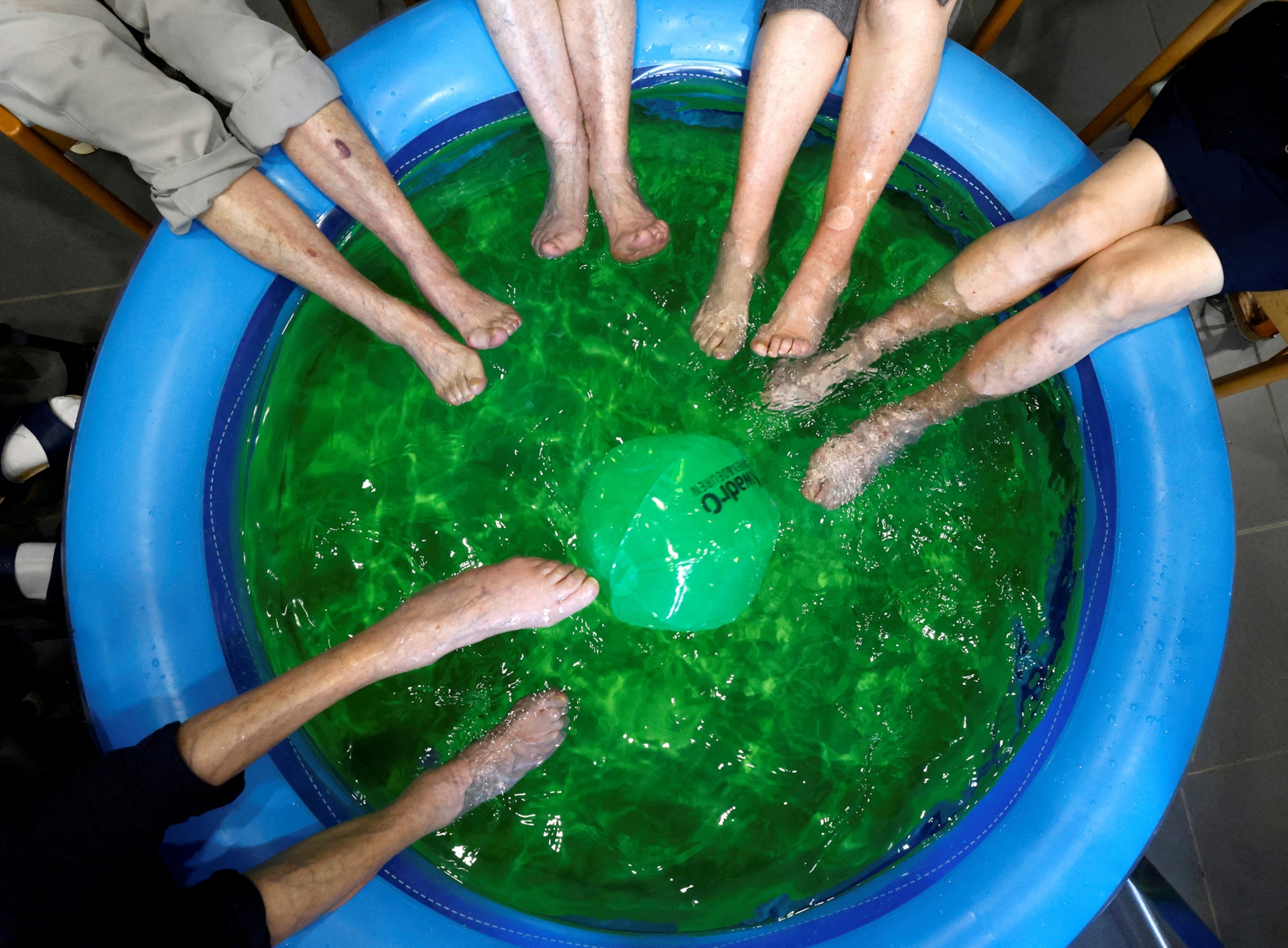 Several pairs of legs are seen sharing a small pool of water.