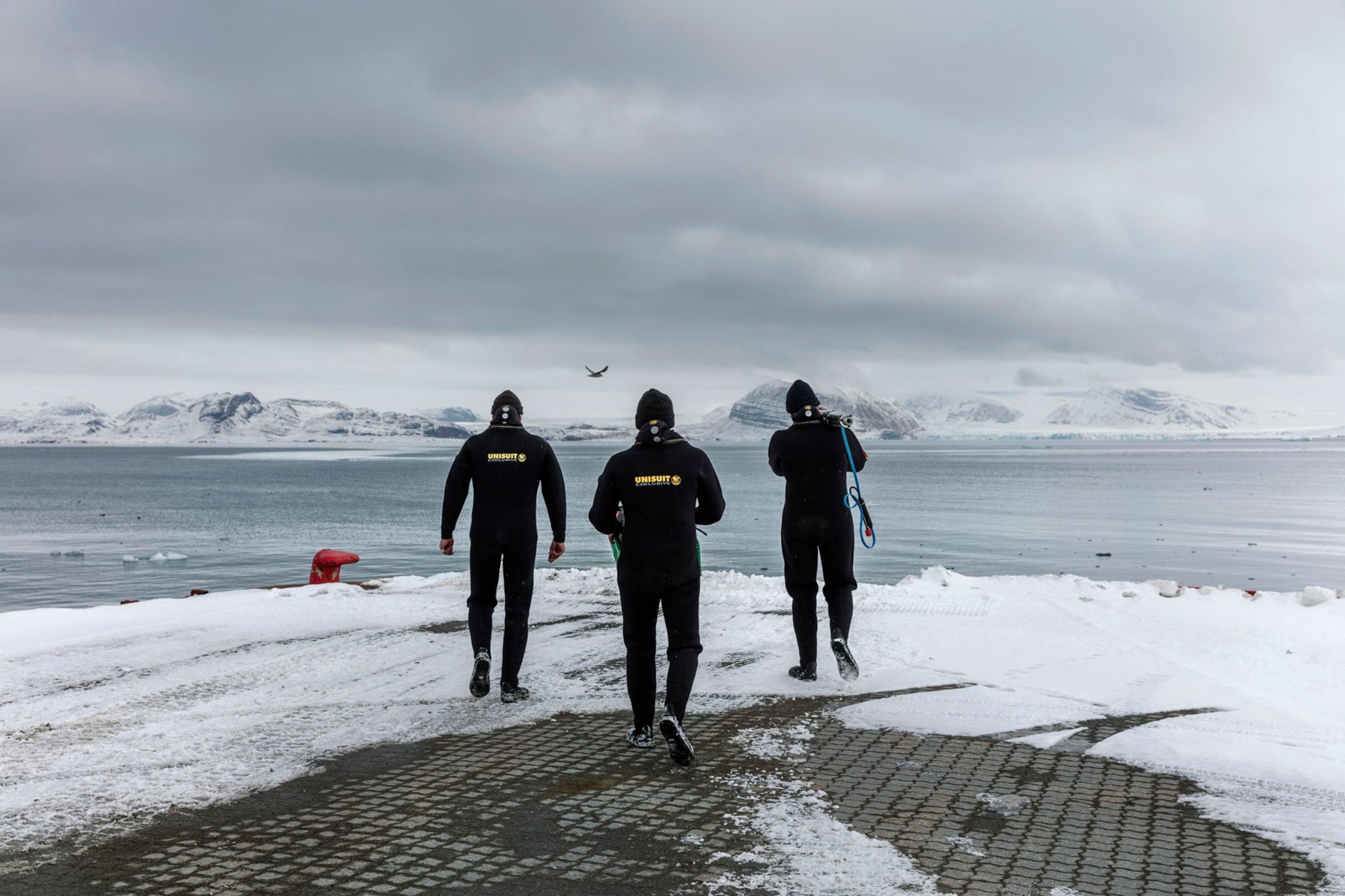 three divers.