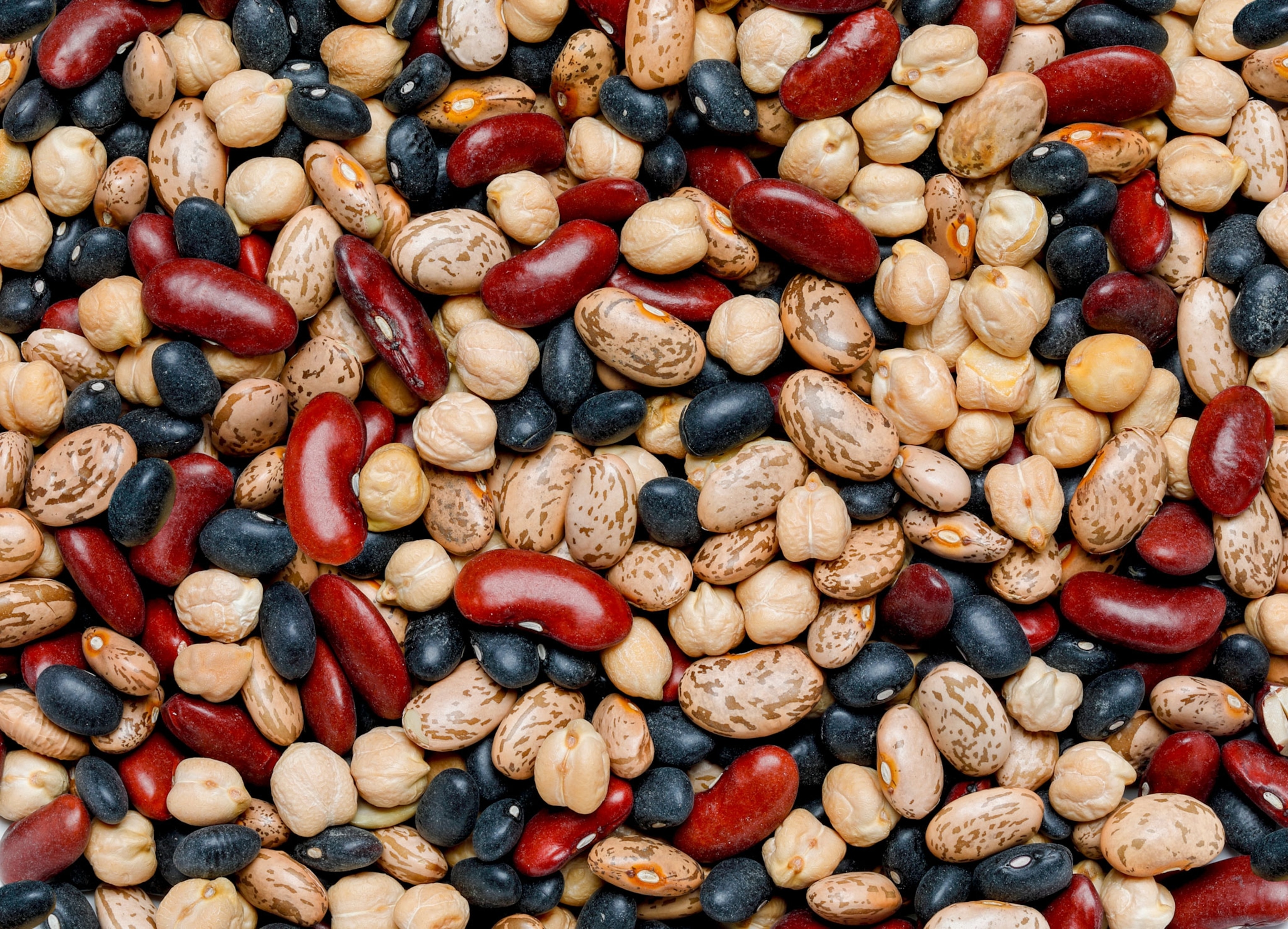 A close-up image shows an assortment of dry uncooked beans, highlighting hues of red, black, brown, and tan.