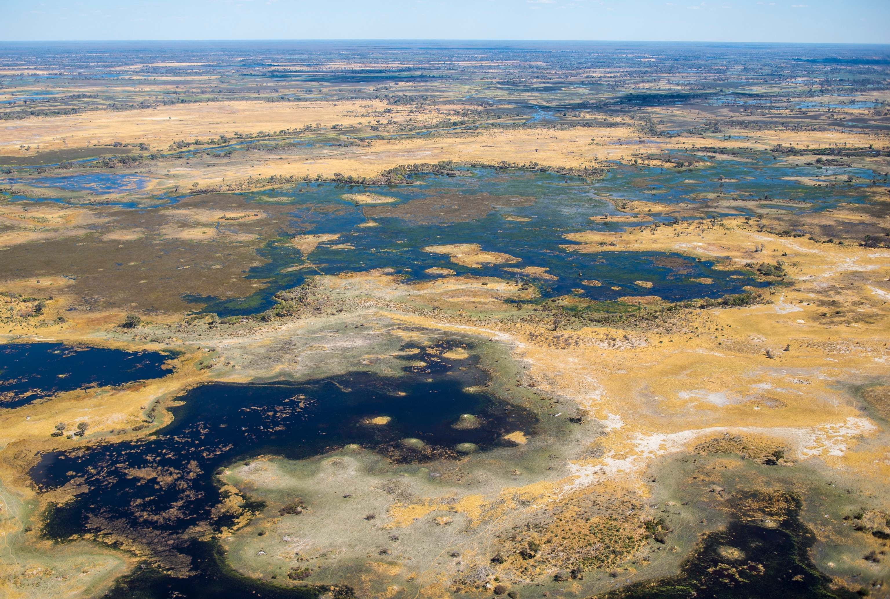 An aerial view of the Okavango Delta wetlands in northern Botswana