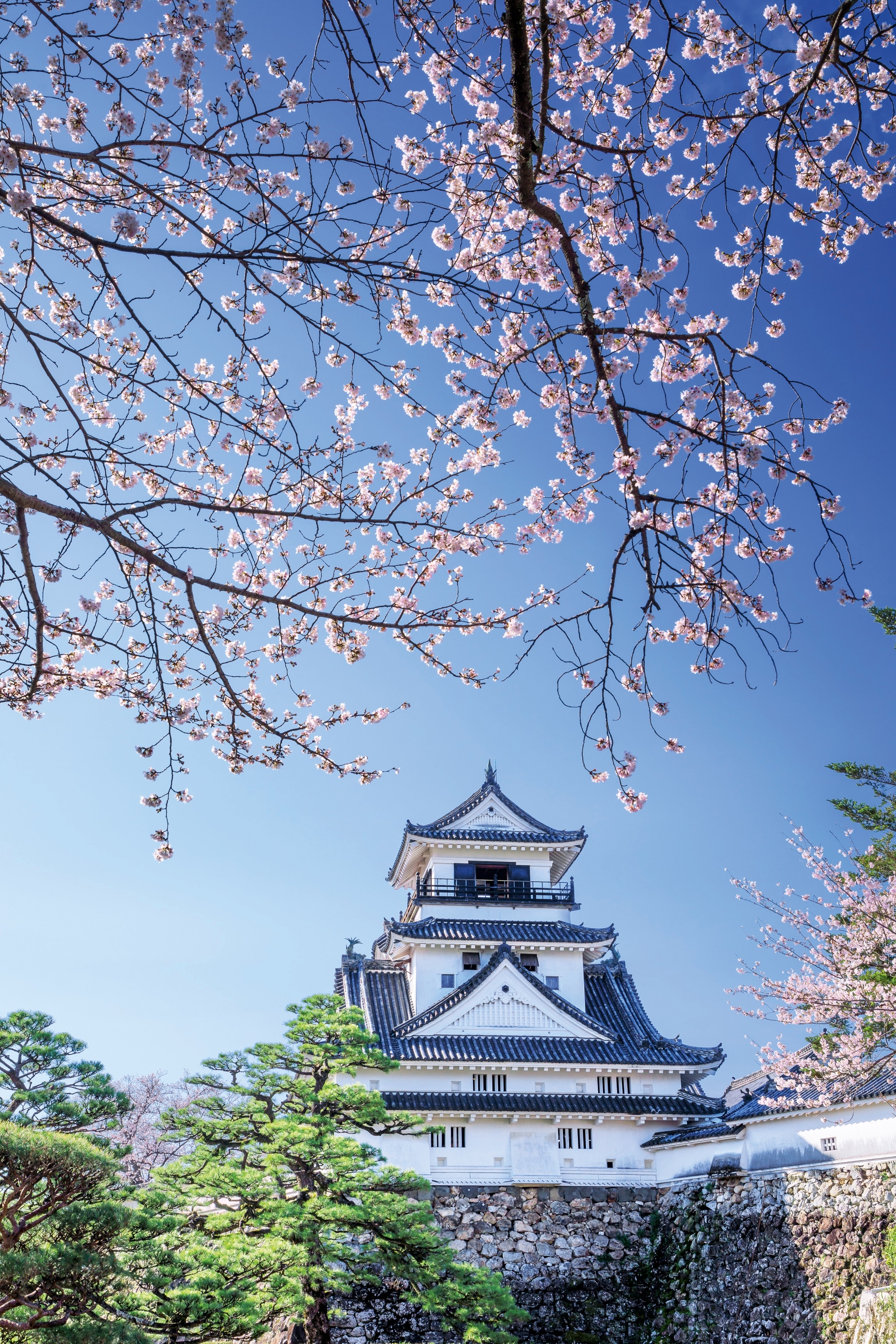 View of Japanese castle