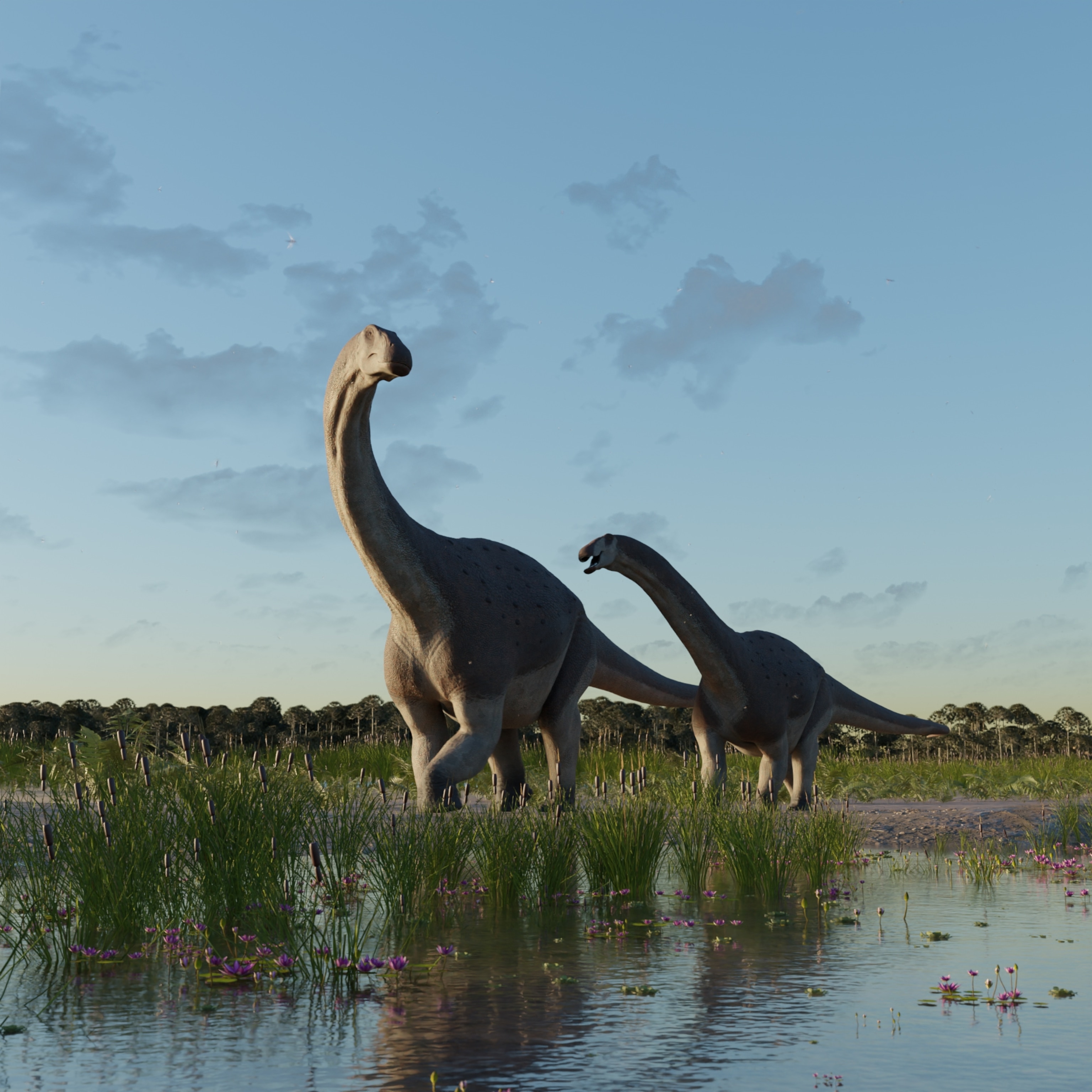 A rendering of two Titanosaurs walking along the shore, the shallow water is dotted with lilypads and cattails.