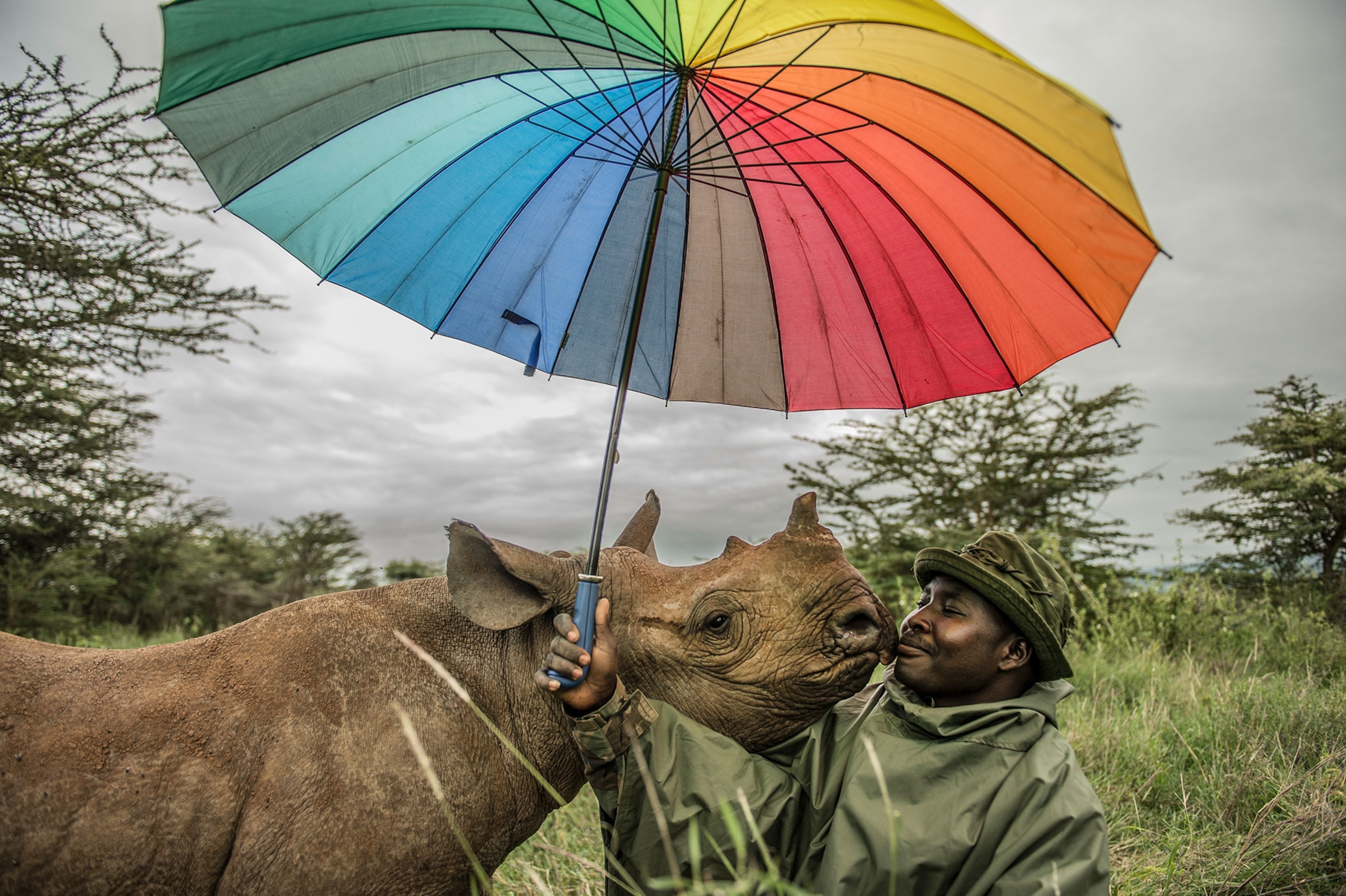 a rhino and a conservationist