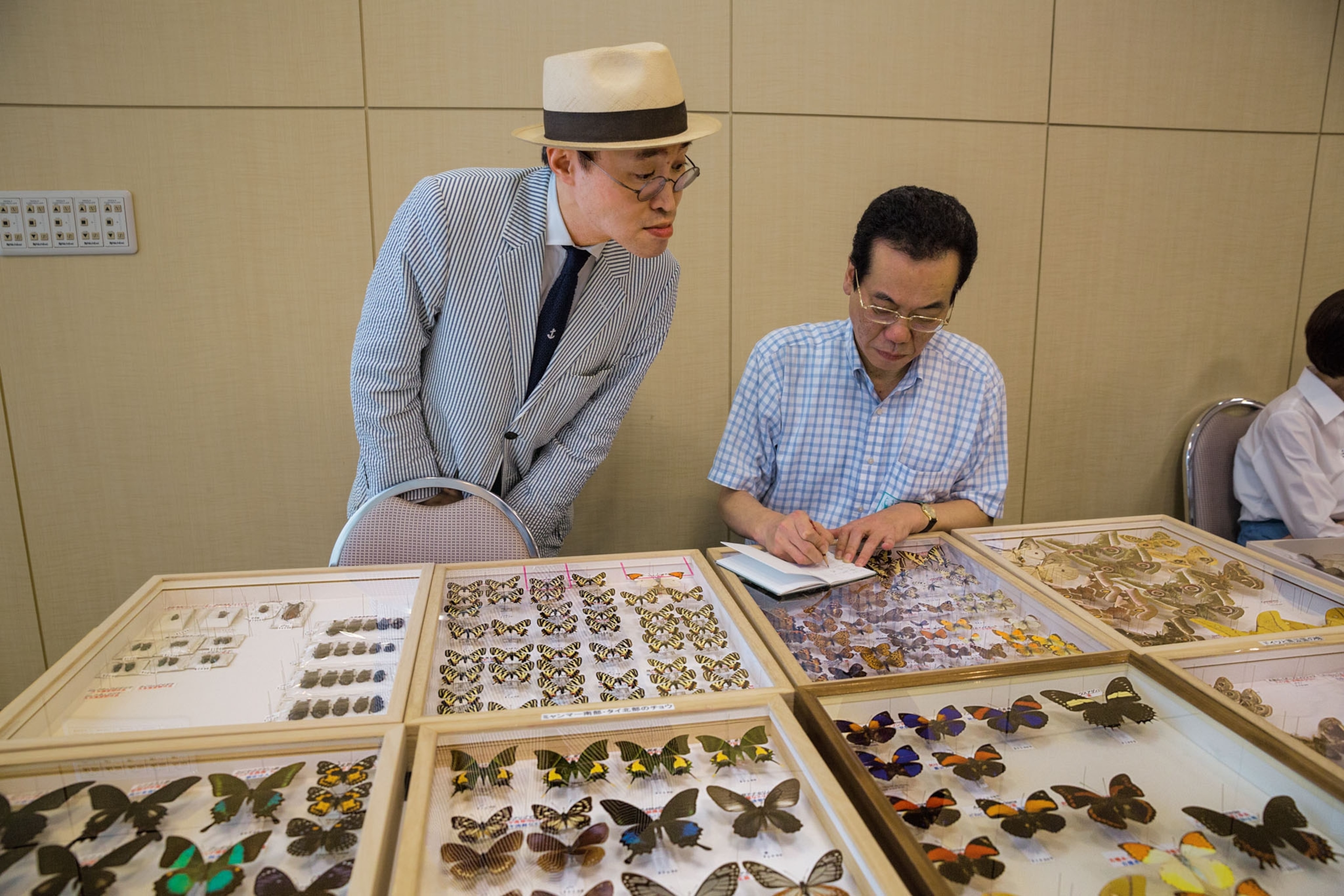two men observing a collection of butterflies specimens