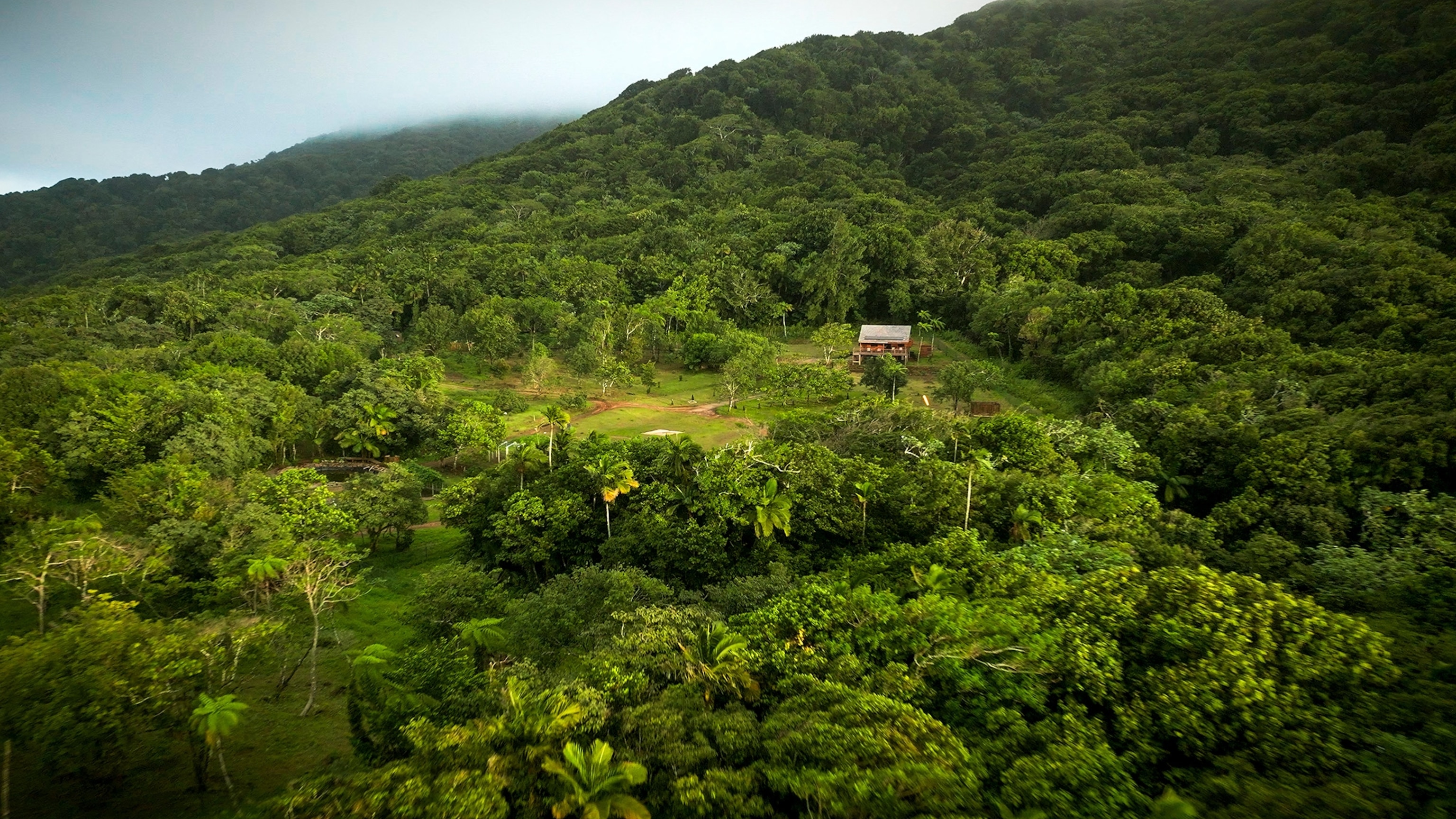 Liamuiga Natural Farm nestled high in the jungle on Phillips' mountain, St. Kitts.