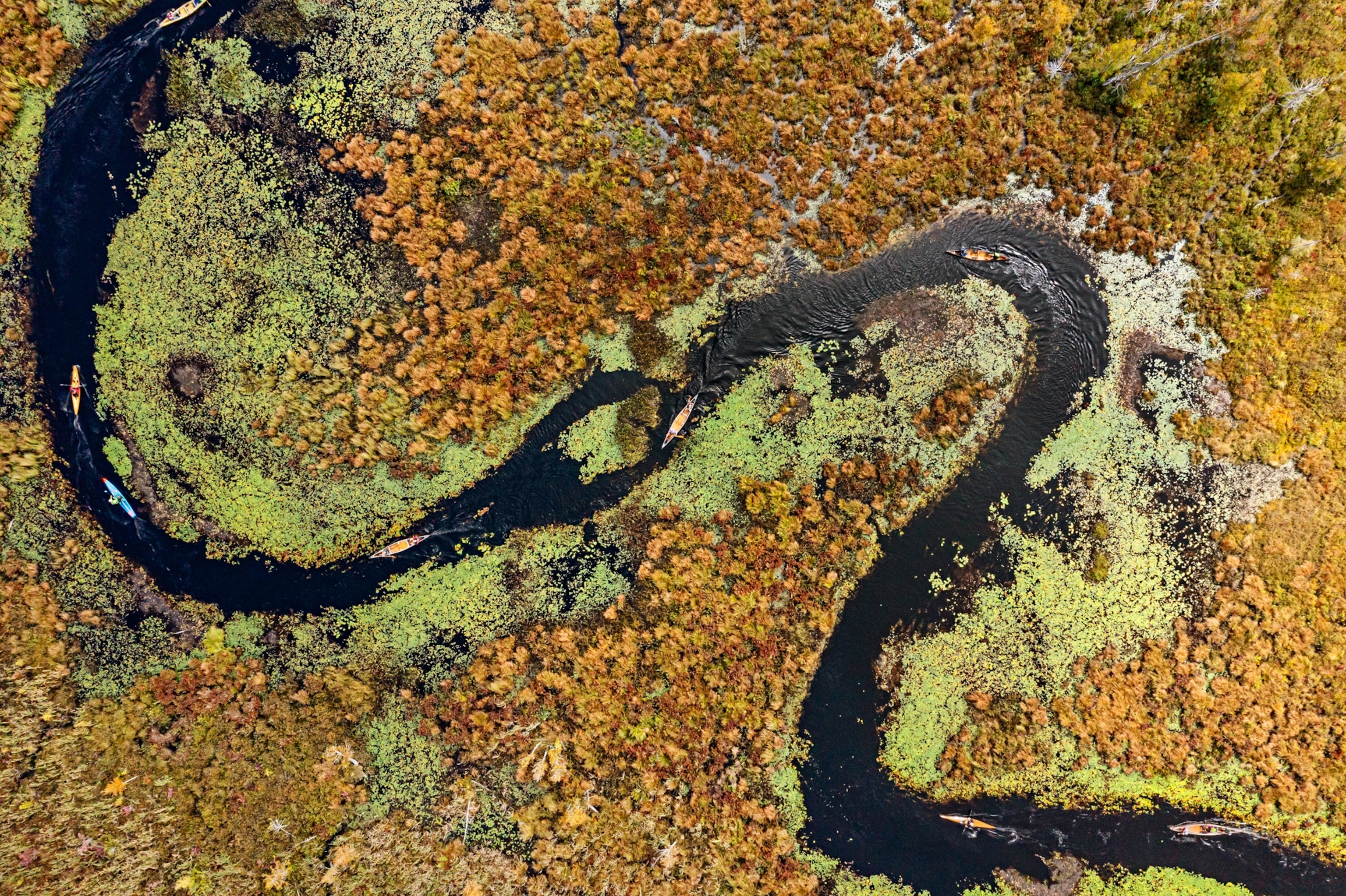 an aerial photograph of canoes maneuvering around a bend.