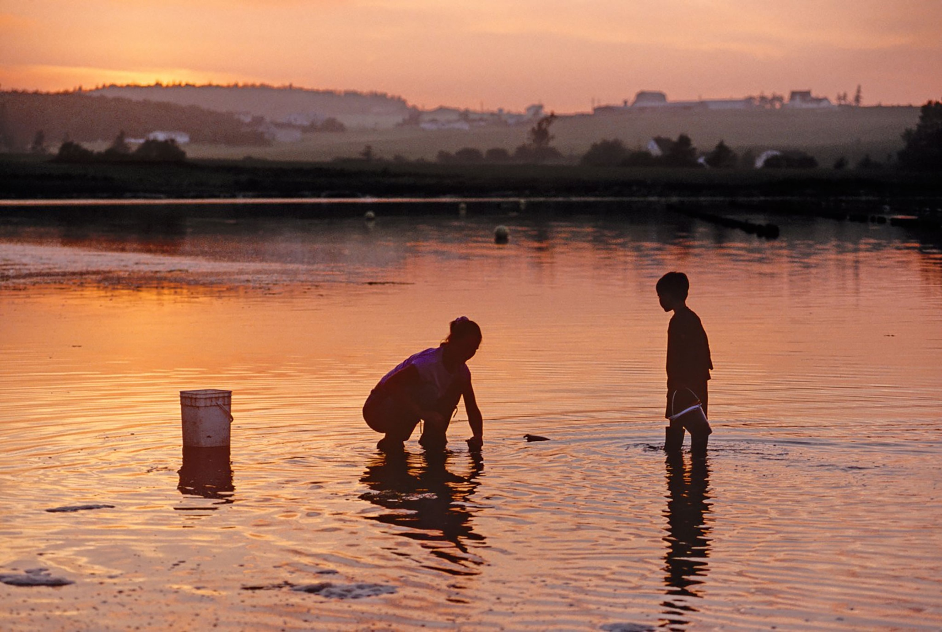 Mother and son in silhouette digging for clams at sunset low tide Prince Edward Island Canada