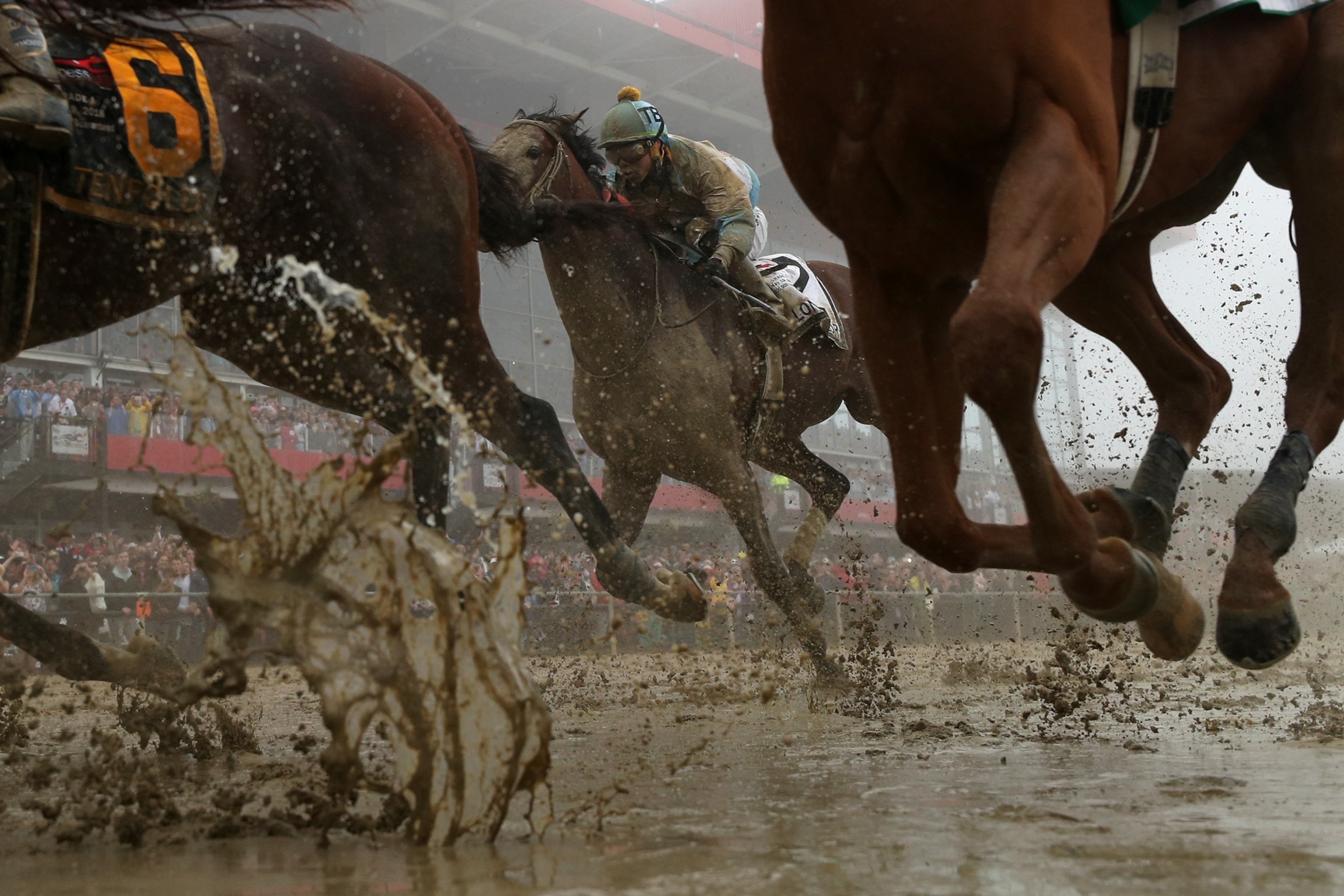 Horses are seen in a tight race along a muddy track in the rain.