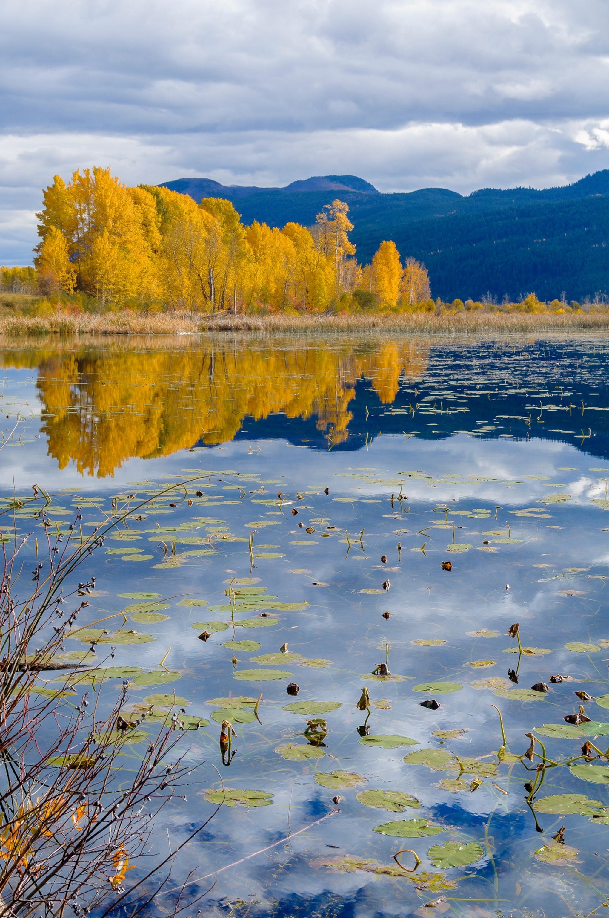 Fall Columbia Valley Wetlands, British Columbia, Canada
