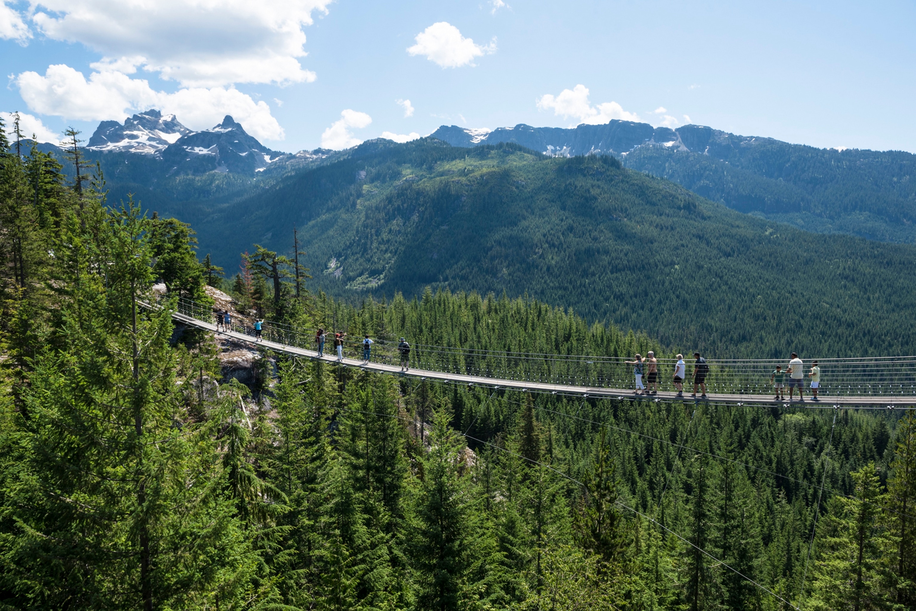 Stunning views from the Sky Pilot Suspension Bridge