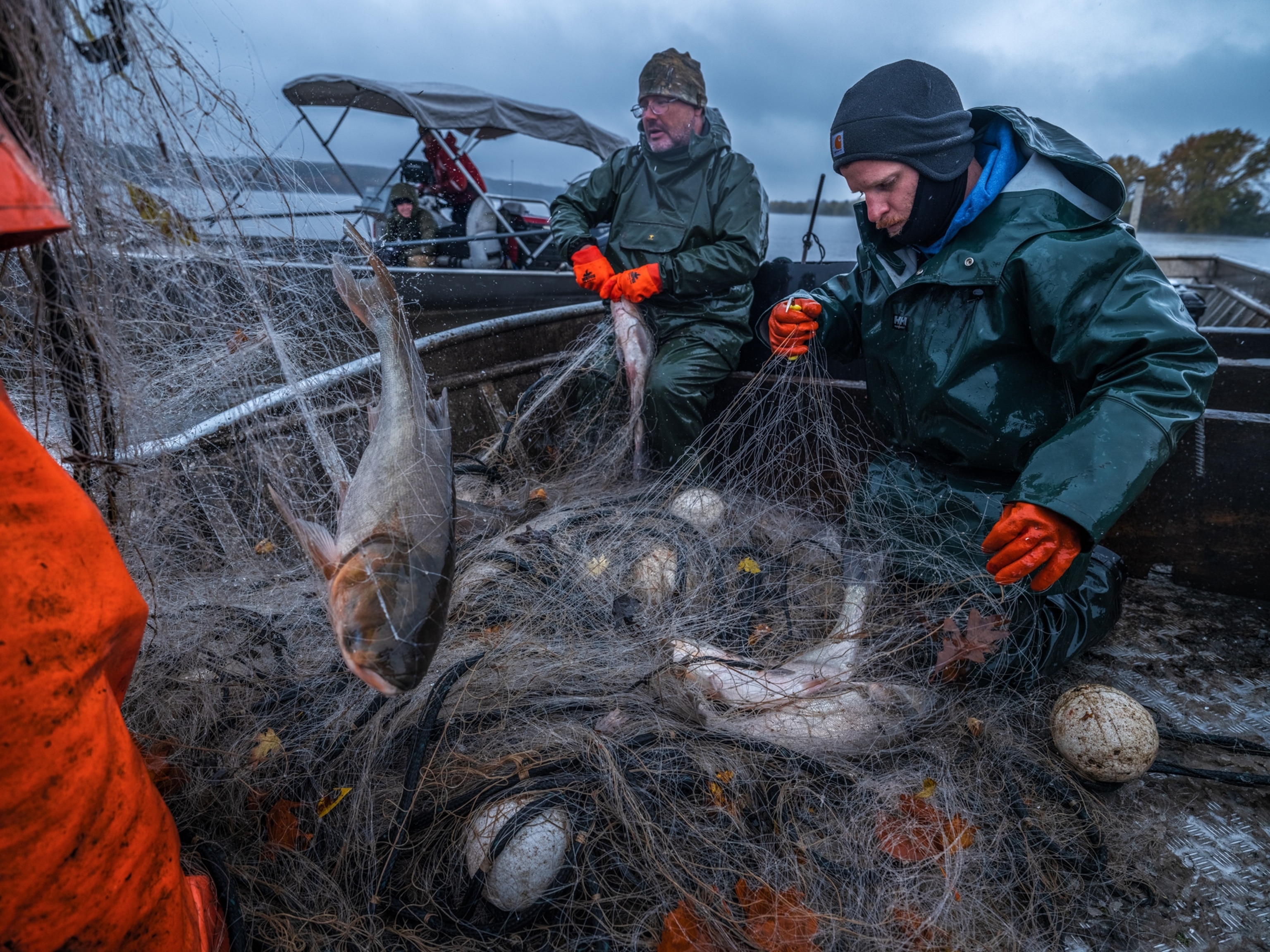 fishermen with nets and fish.