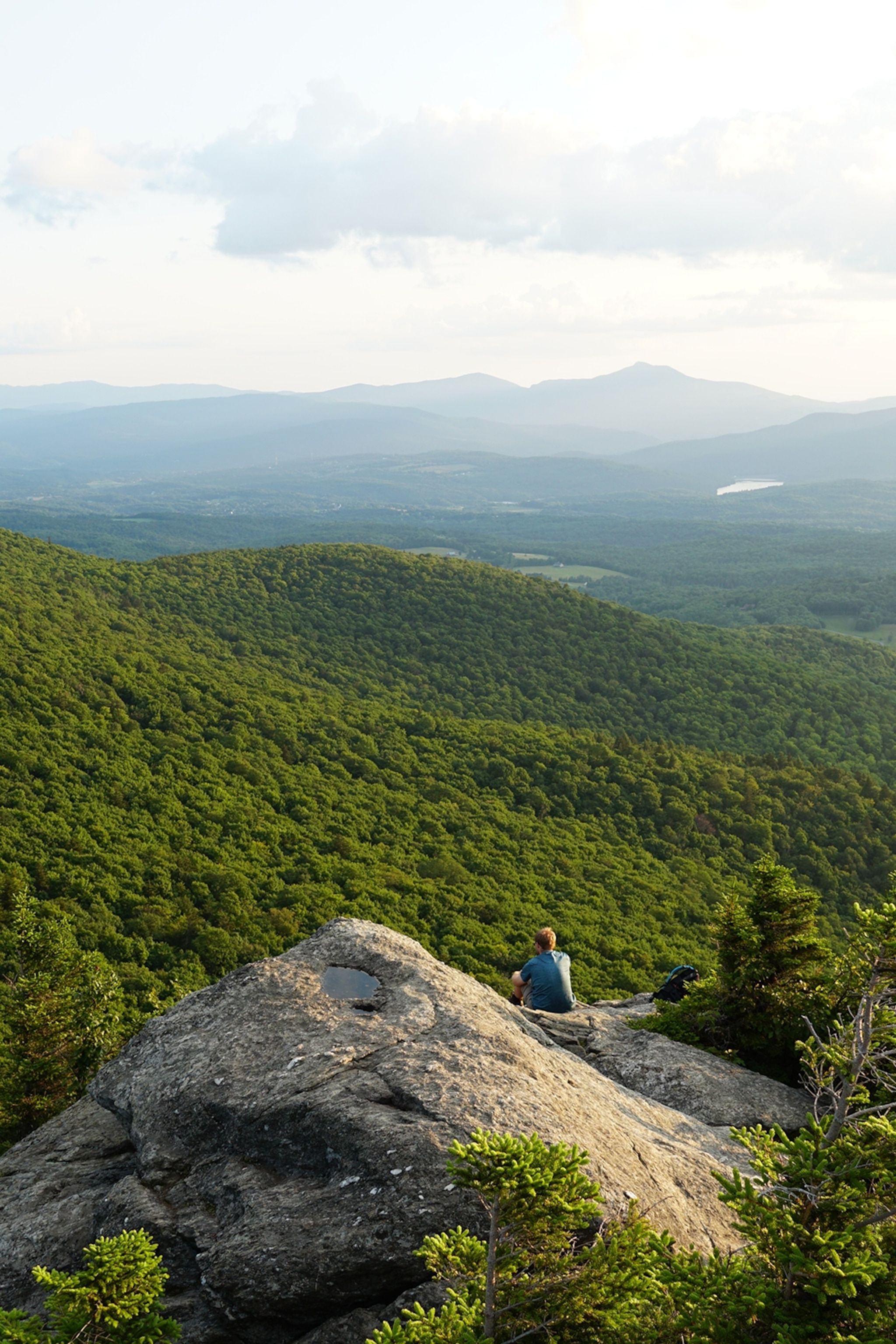 A man on a hill overlooking the forest near Stowe, Vermont.