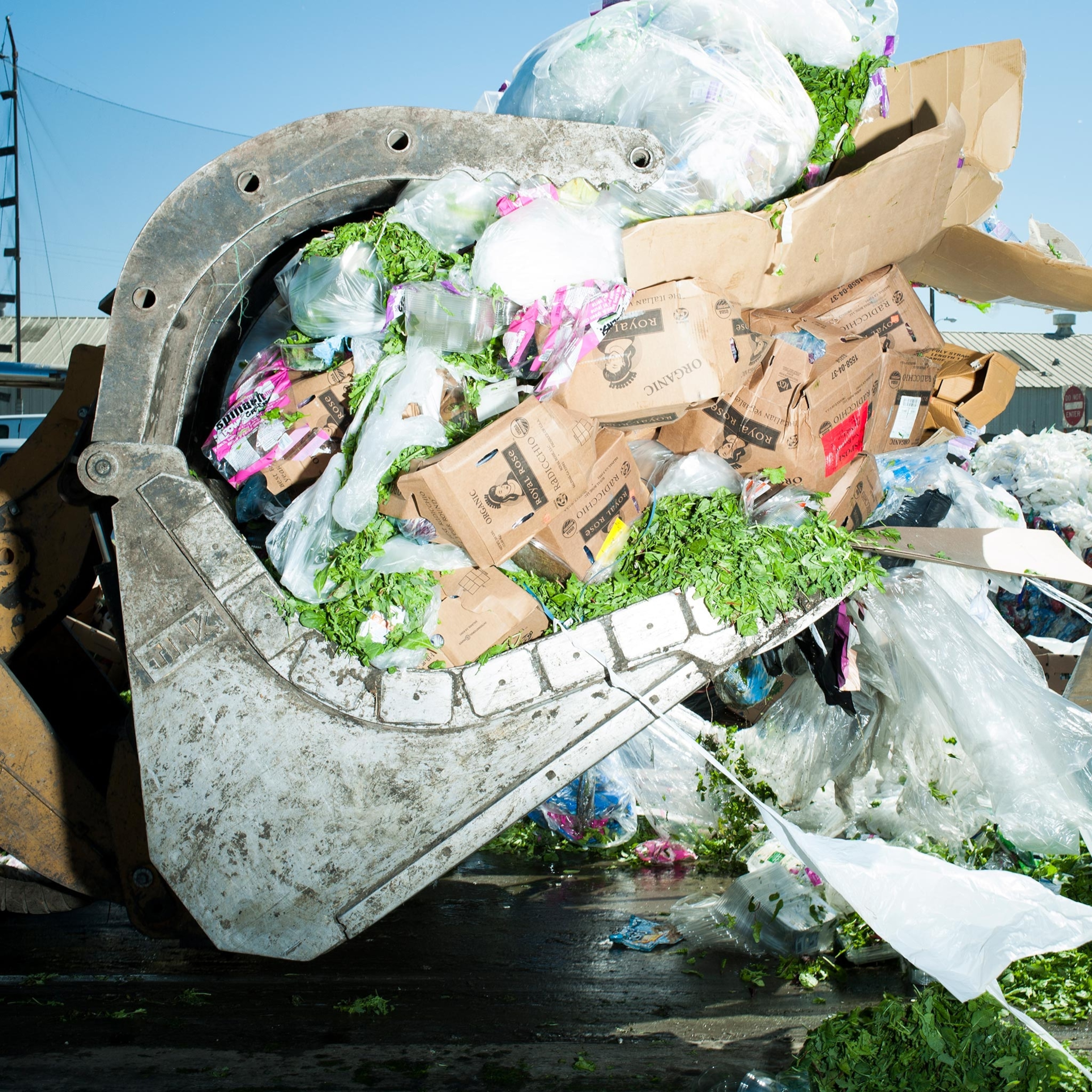 food waste