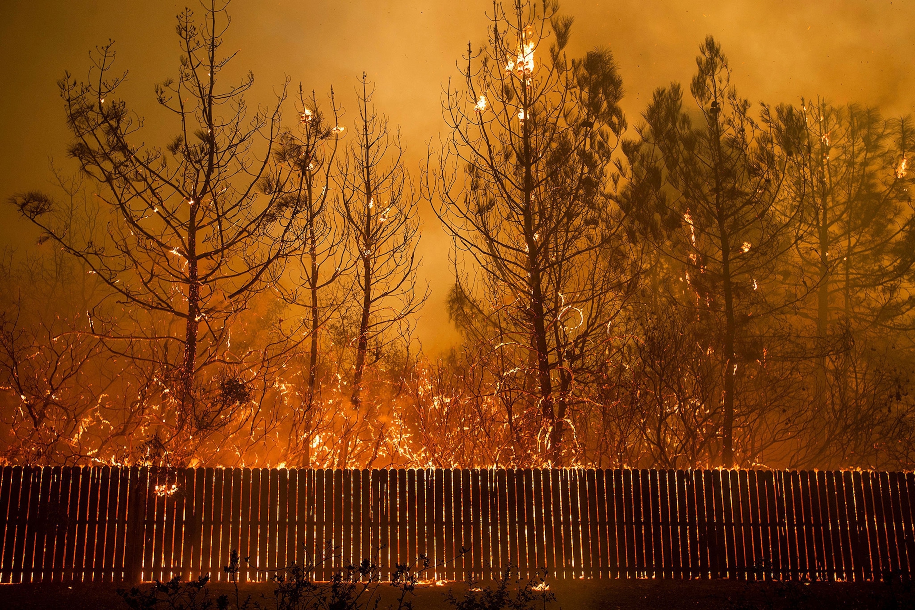 a wildfire