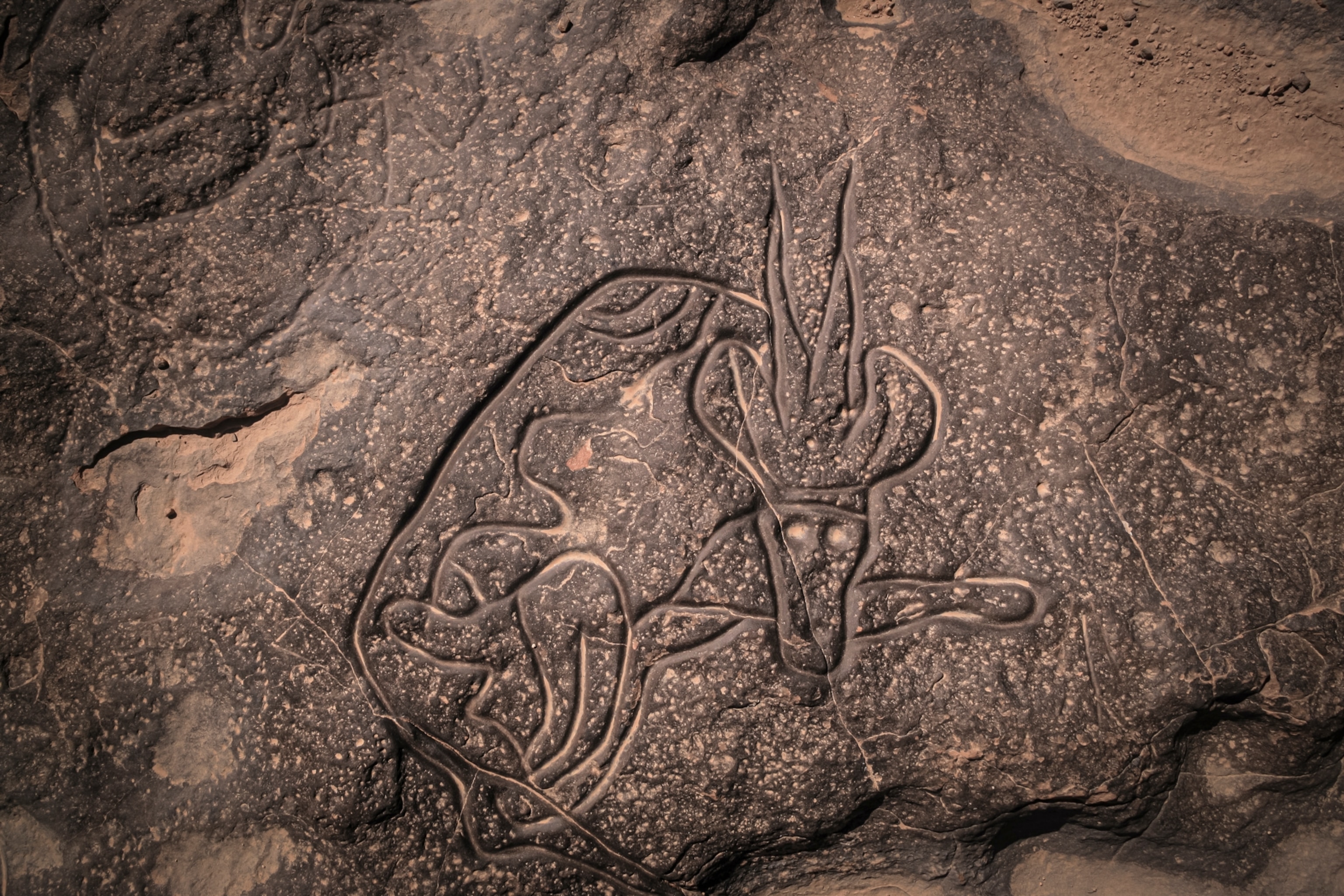 Algeria rock art