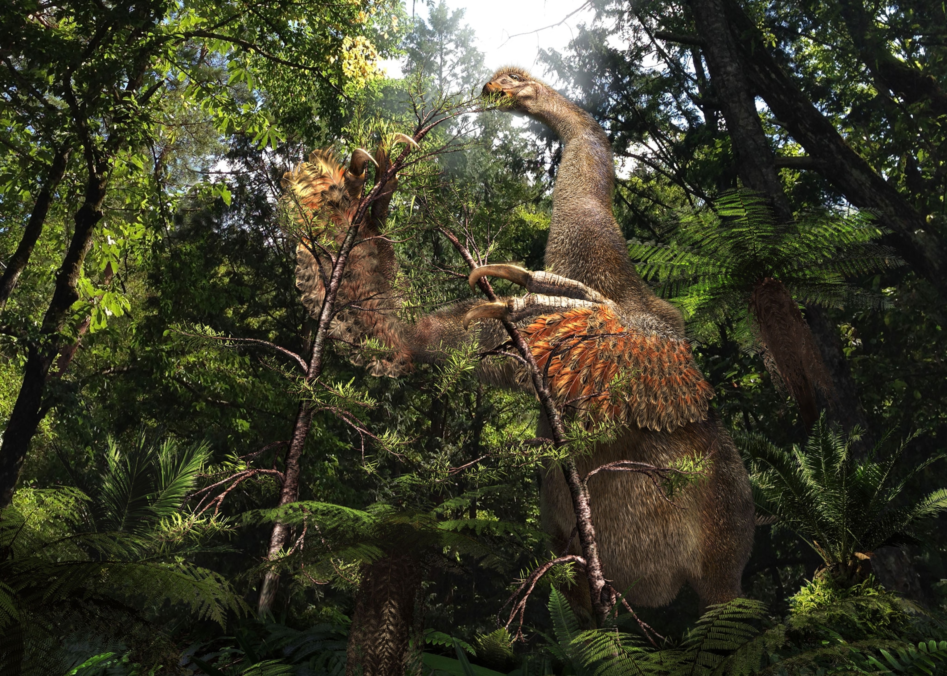 An illustration of a brown dinosaur with a long neck, bird like arms, and sloth like talons in the jungle.
