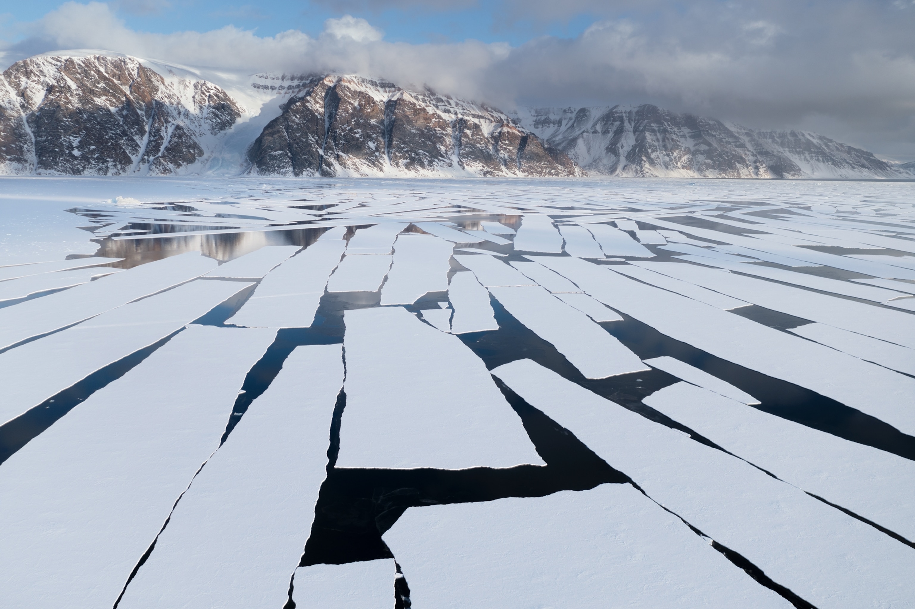Ice pans that have just broken off of the shorefast ice shelf float on Inglefield Fjord.