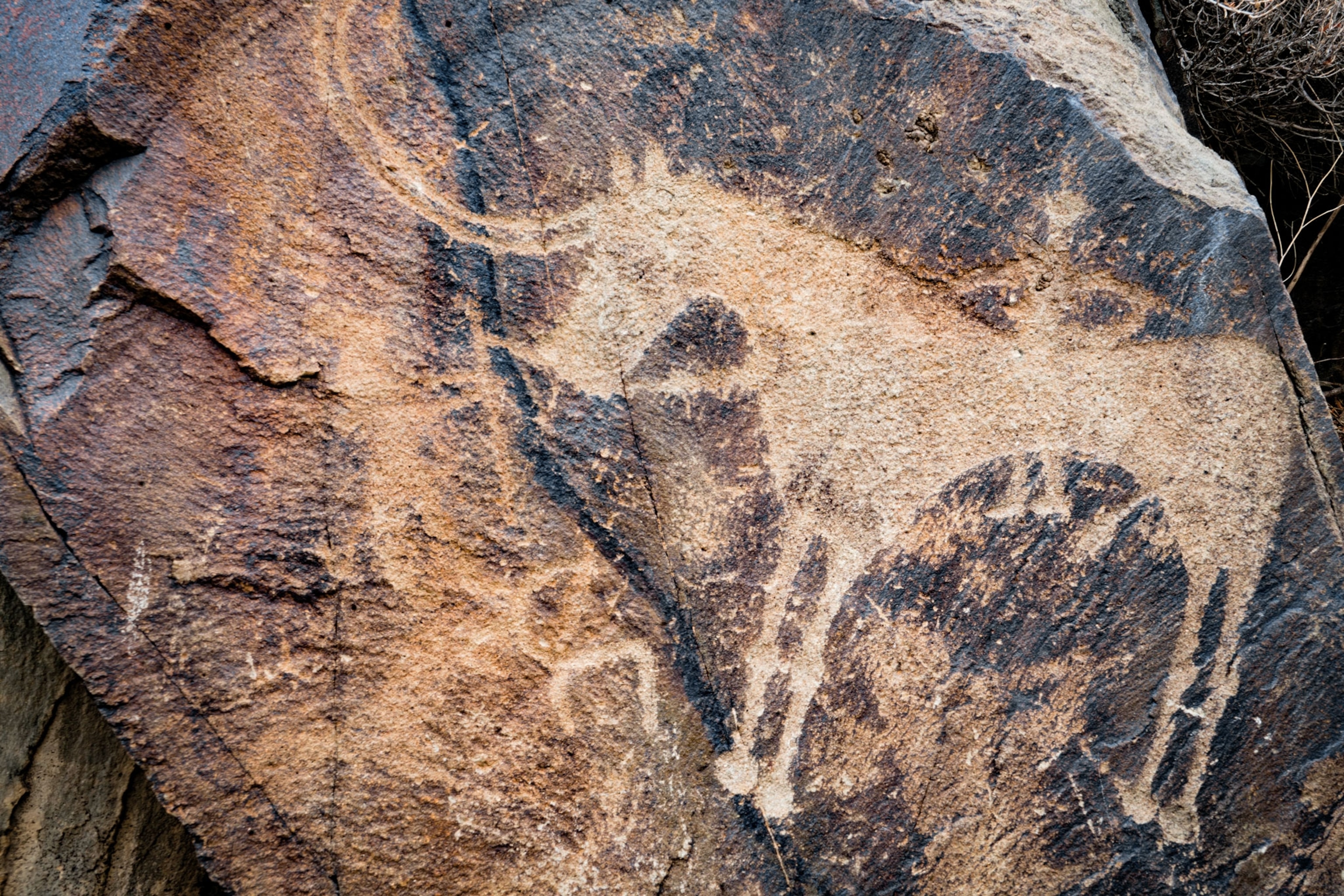 A drawing of a horned horse on a rock