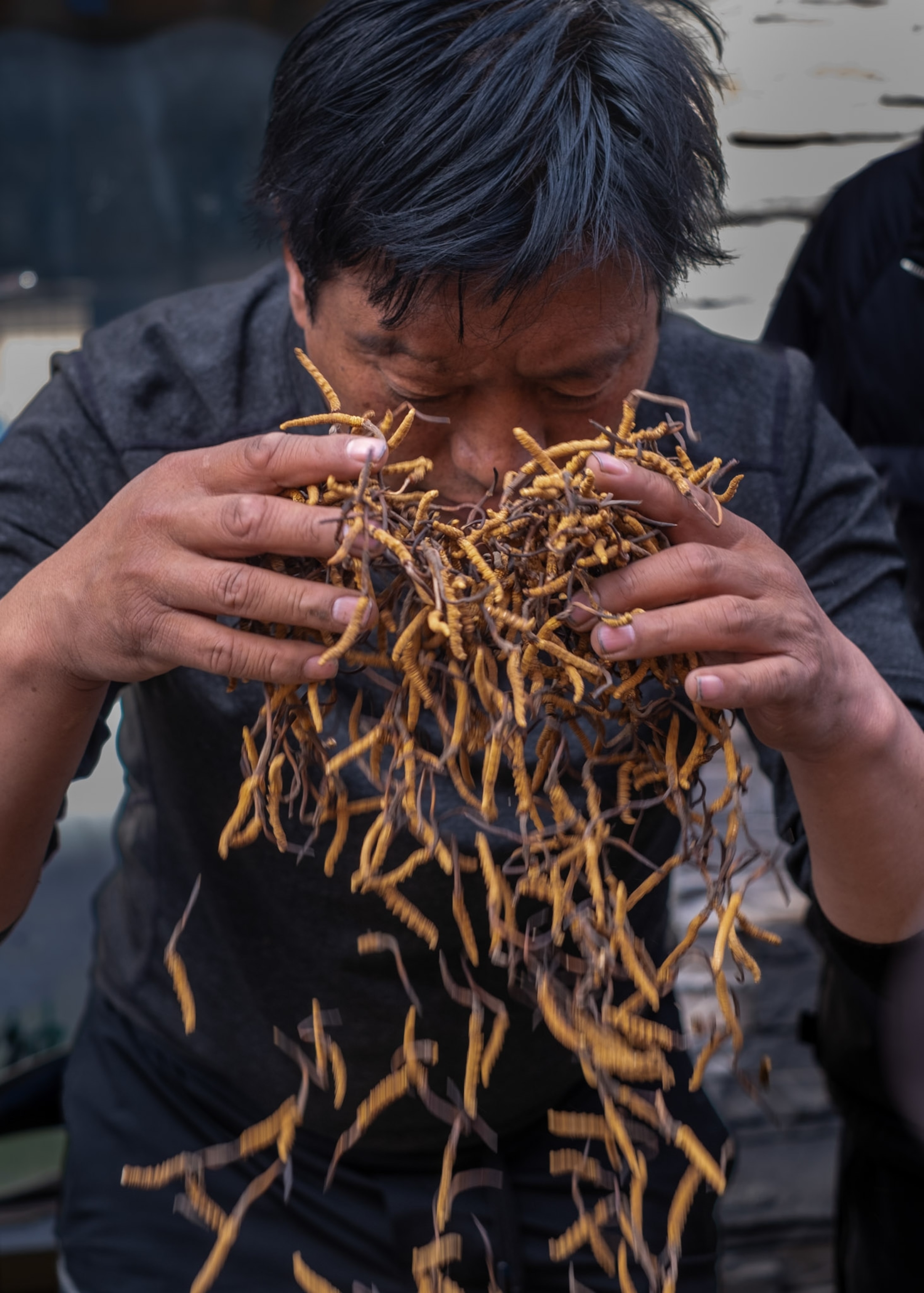 A man sorts through dried worms for sale.