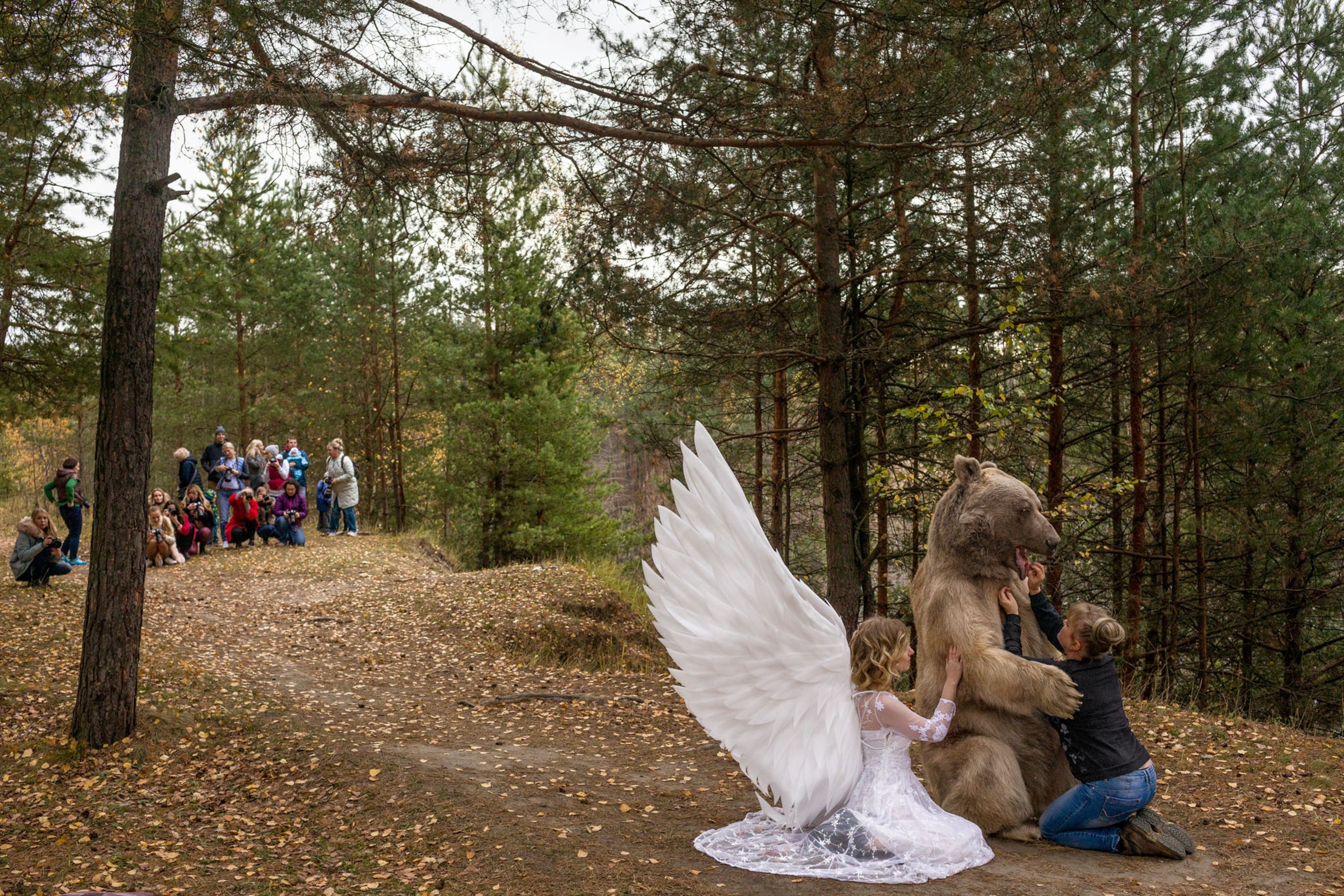 a people engaging with animals for tourism